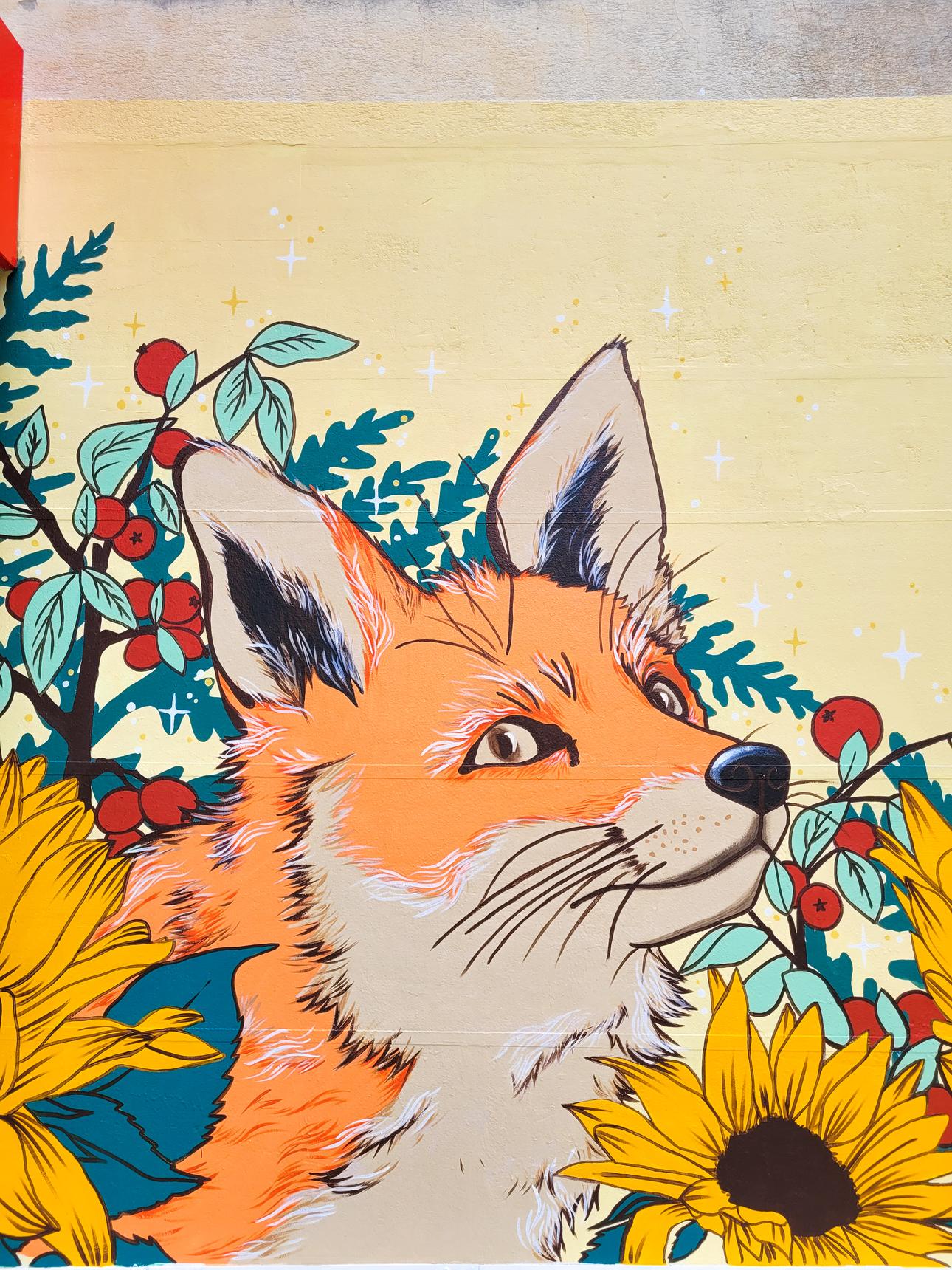Lucie Flety—Renard