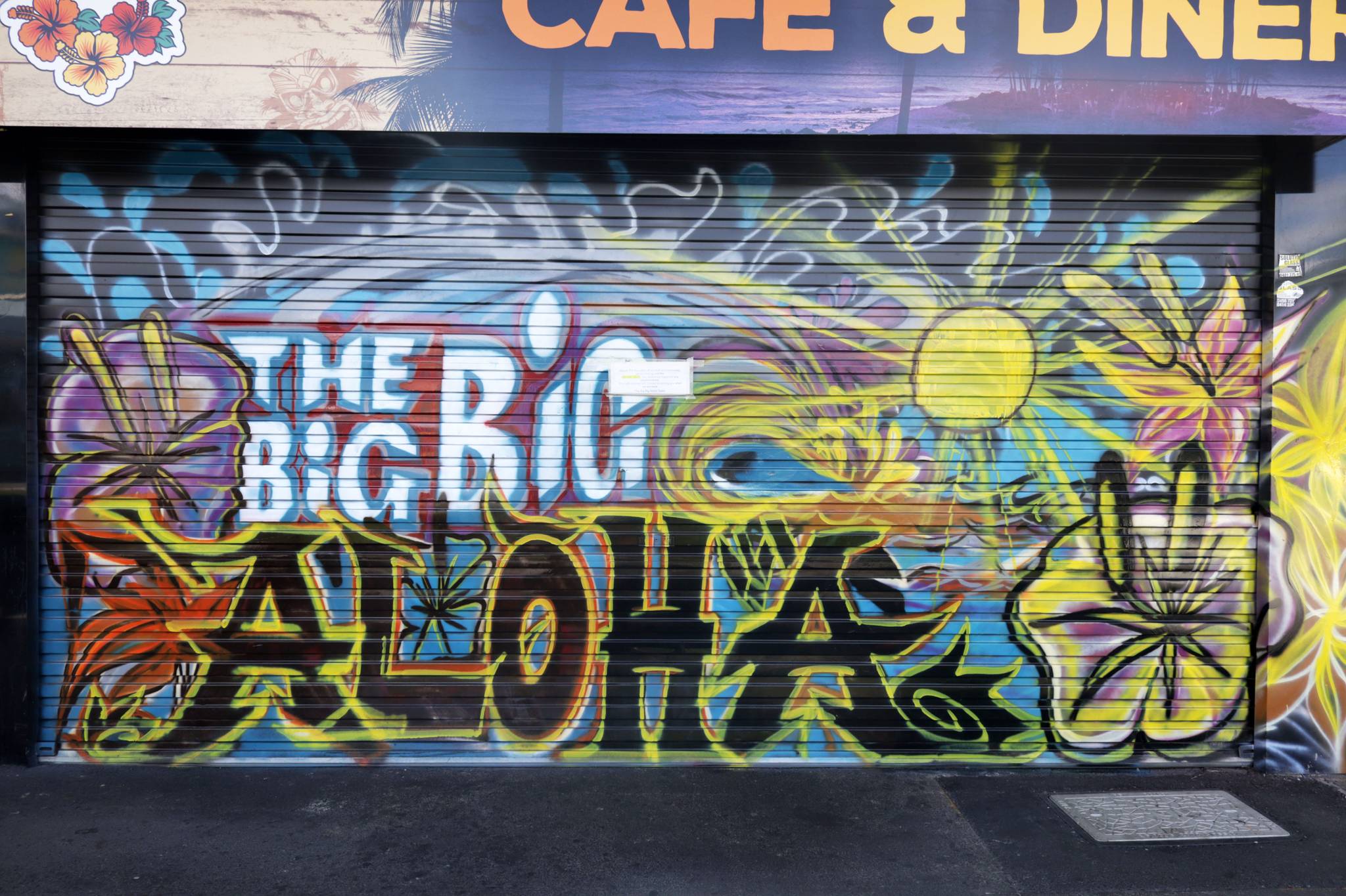 Unknown - Sydney&mdash;The Big Big Aloha