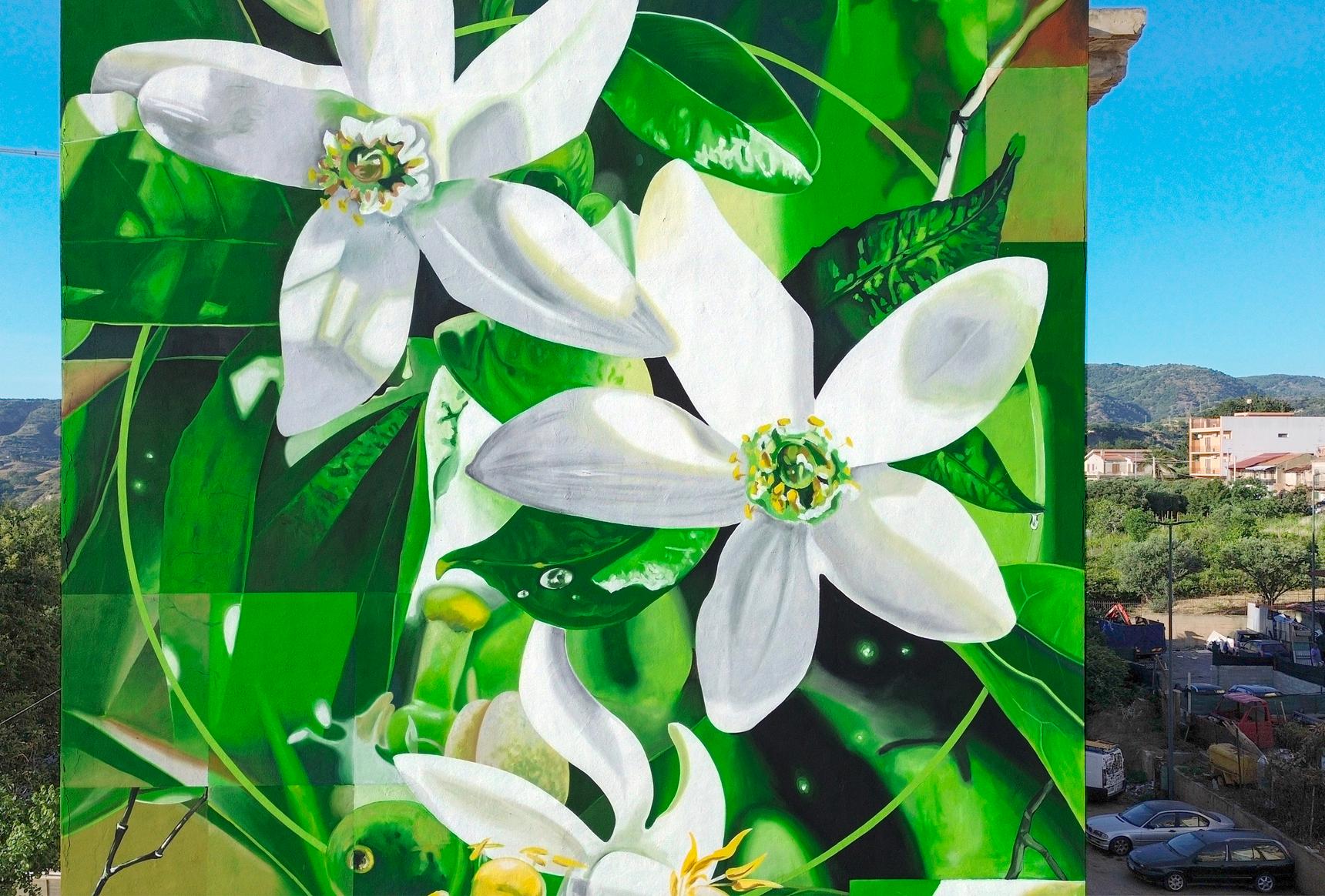 Fabio Petani—LINALYL ACETATE & CITRUS BERGAMIA