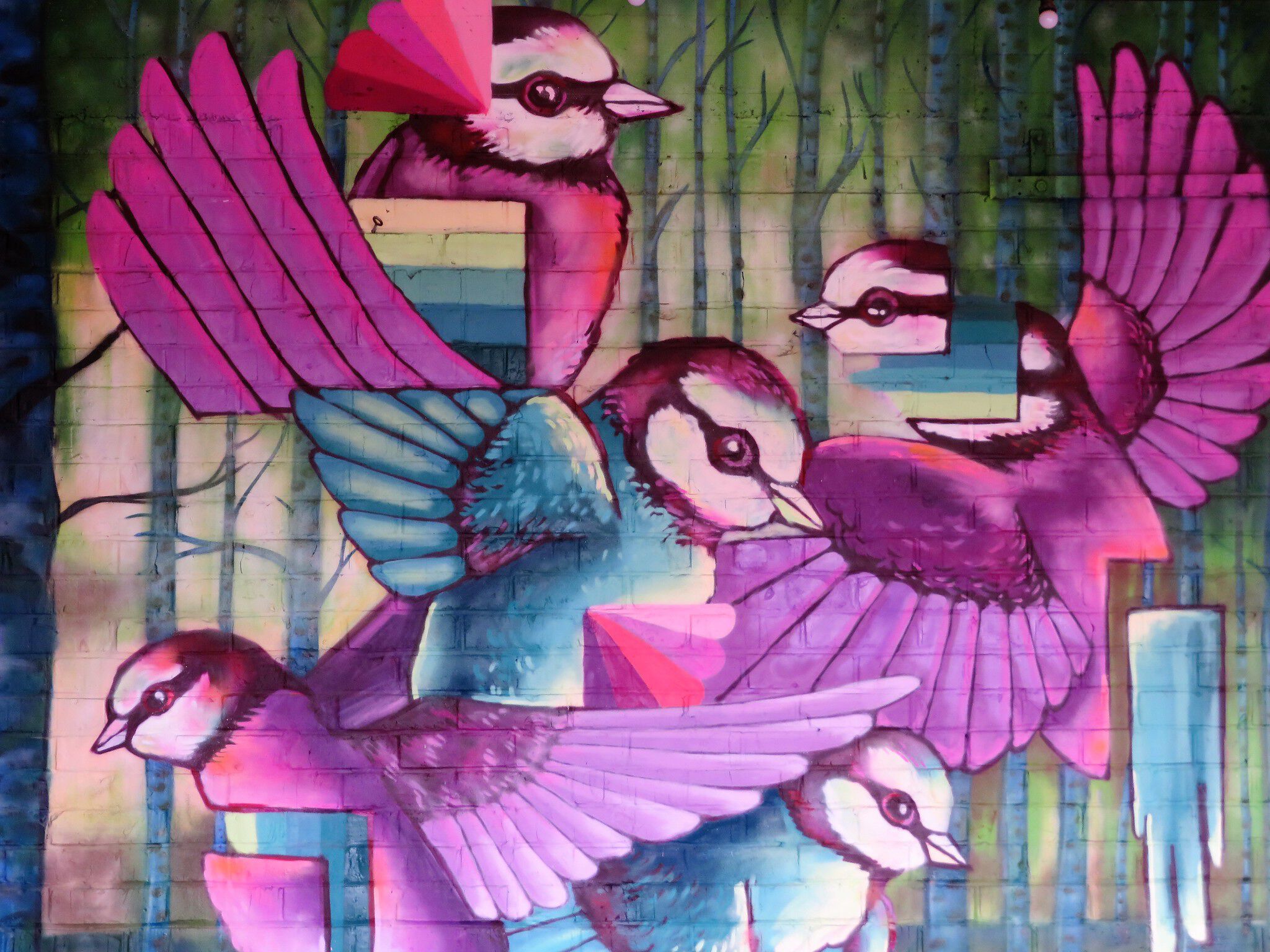 Xuas, Huascaya, Nigel Leirens&mdash;Caged birds sing about freedom, free birds fly