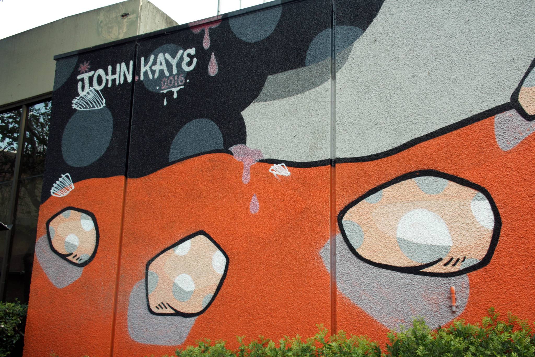 John Kaye&mdash;undefined