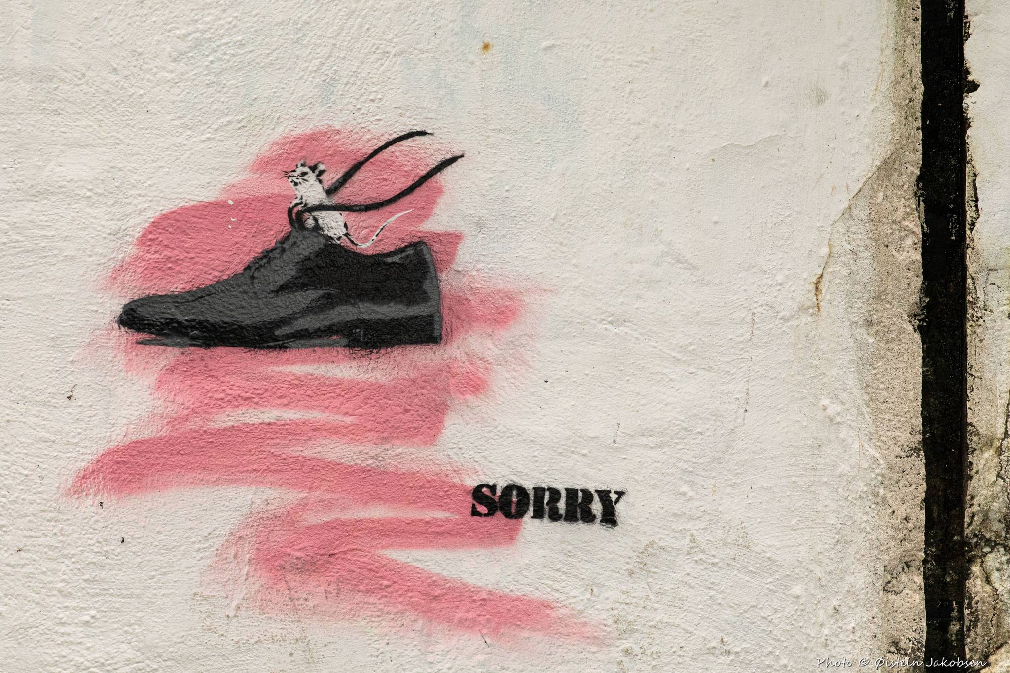 SORRY&mdash;In your shoes