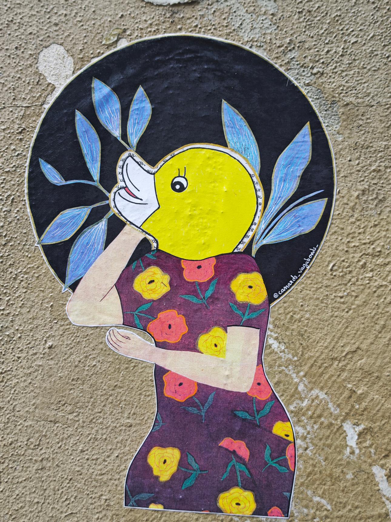 canards_vagabonds_ (Sylvie Gennerat)—Canards Vagabonds