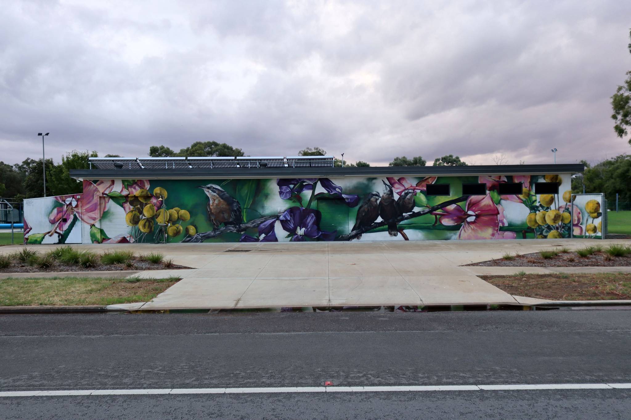 Ling&mdash;Jerilderie Swimming Pool Mural