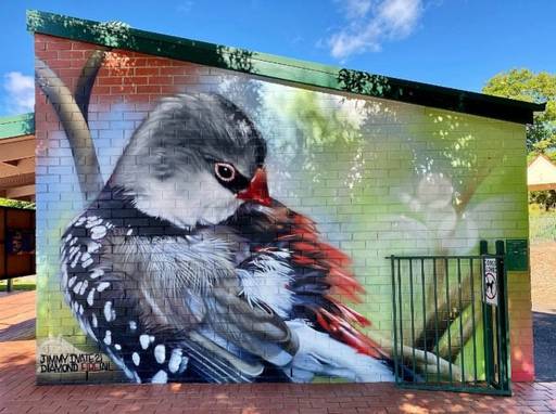 Diamond Firetail