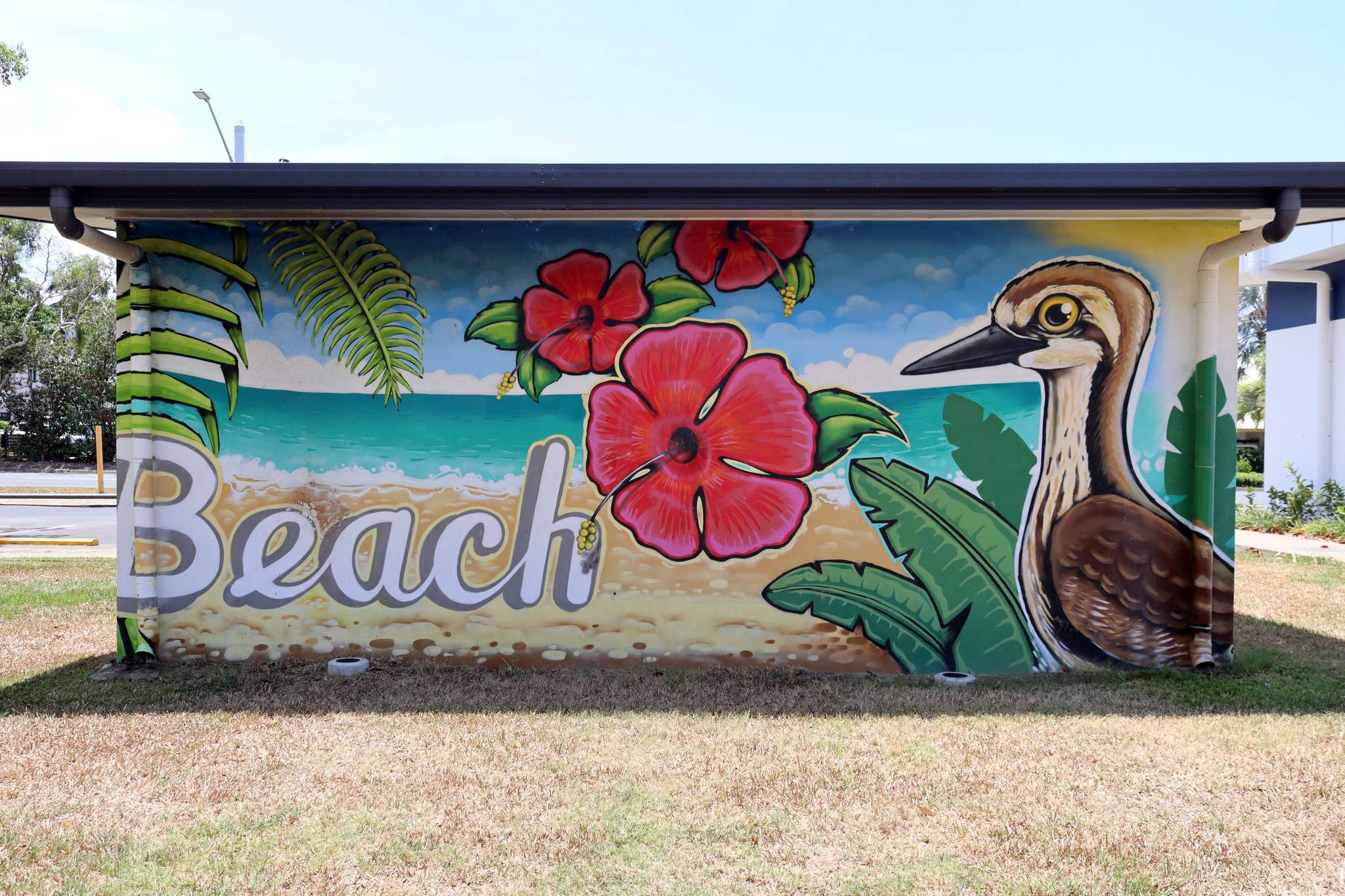 Daniel Wallwork&mdash;Trinity Beach