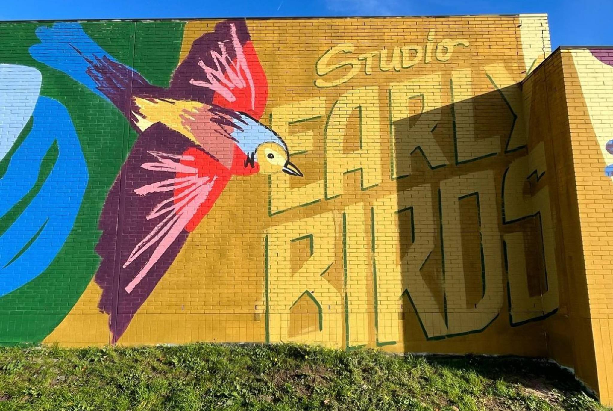 Studio Early Birds&mdash;Hou vol! (Hold on!)