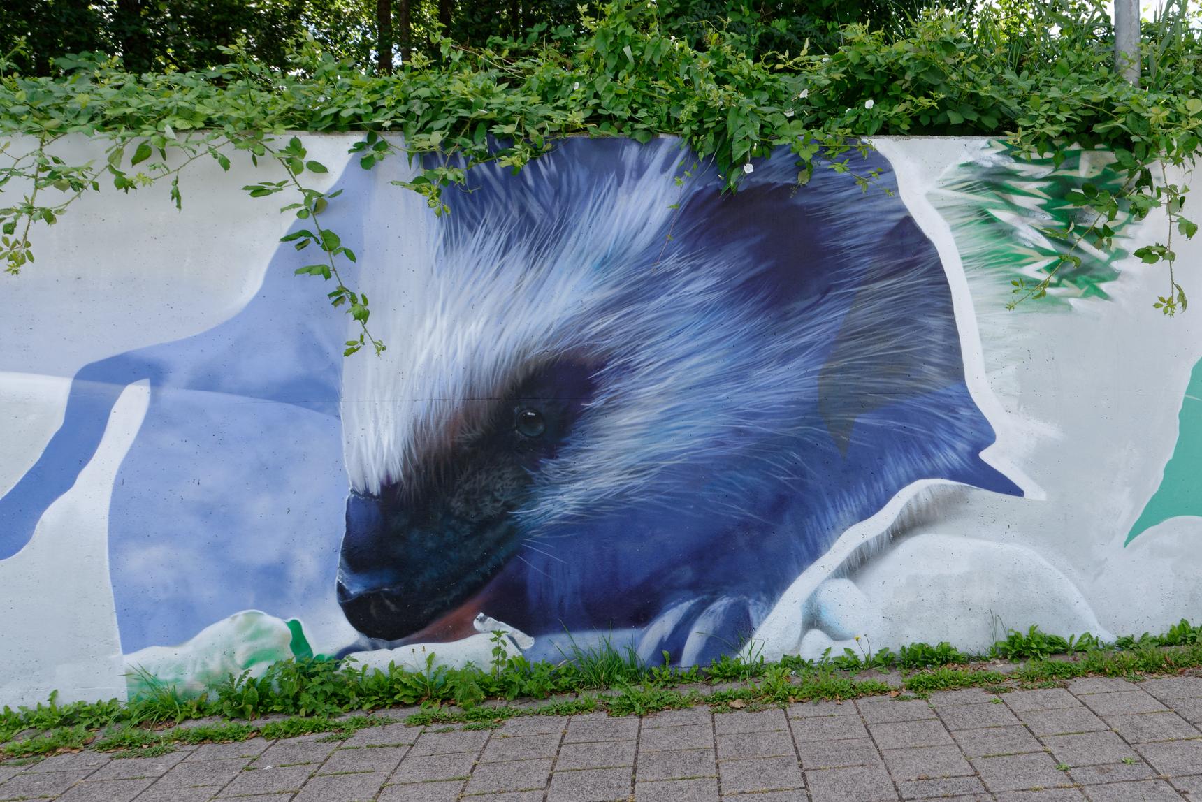 Marcus Debie (Gomad)—Van de zilte zee...tot het groenste gras