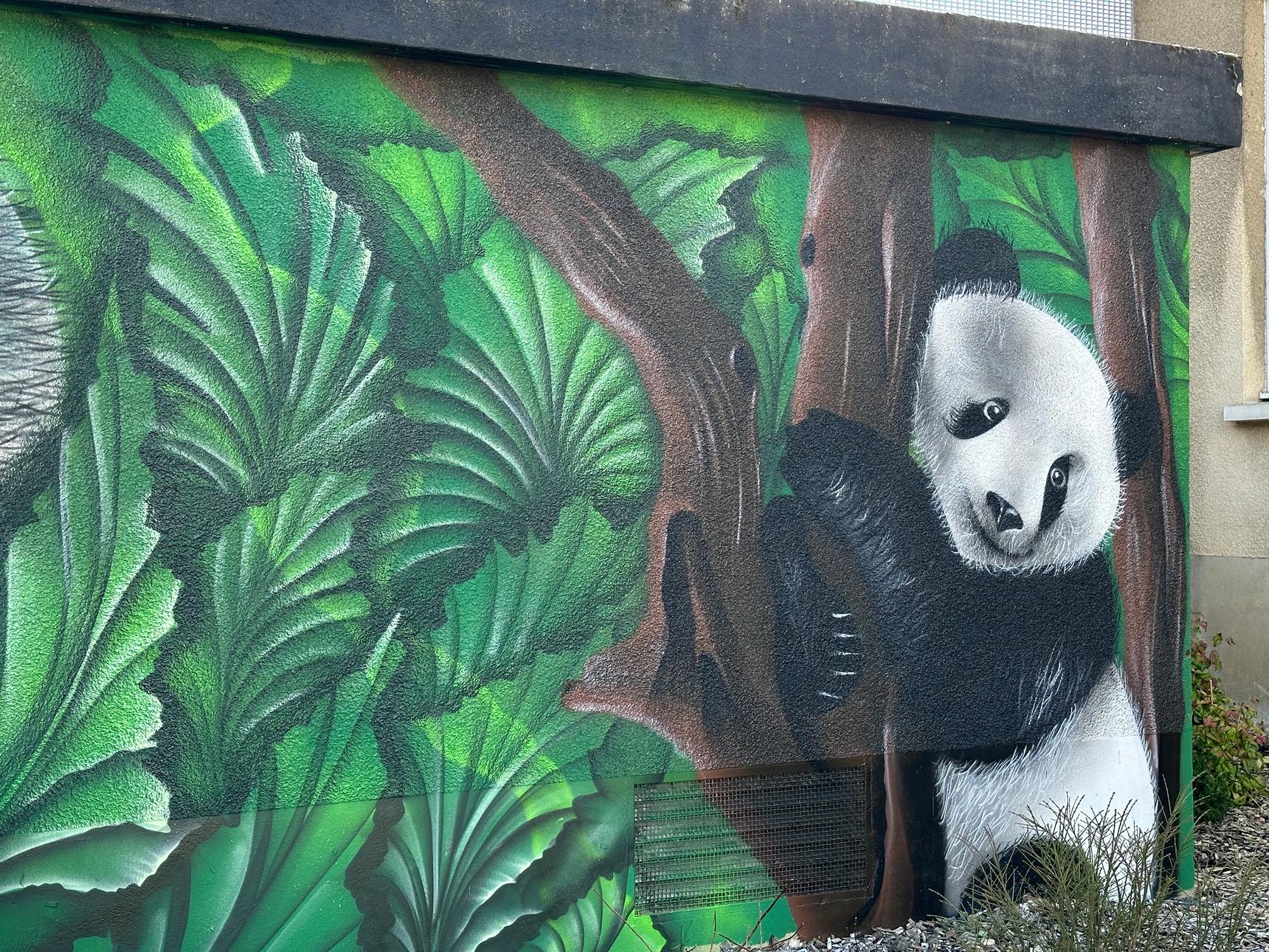 Ecloz—Koala et panda