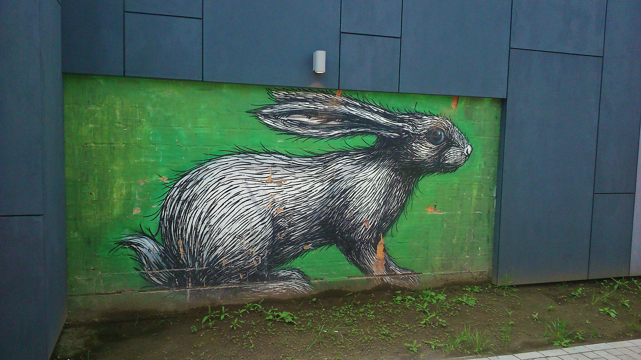Roa&mdash;The rabbit