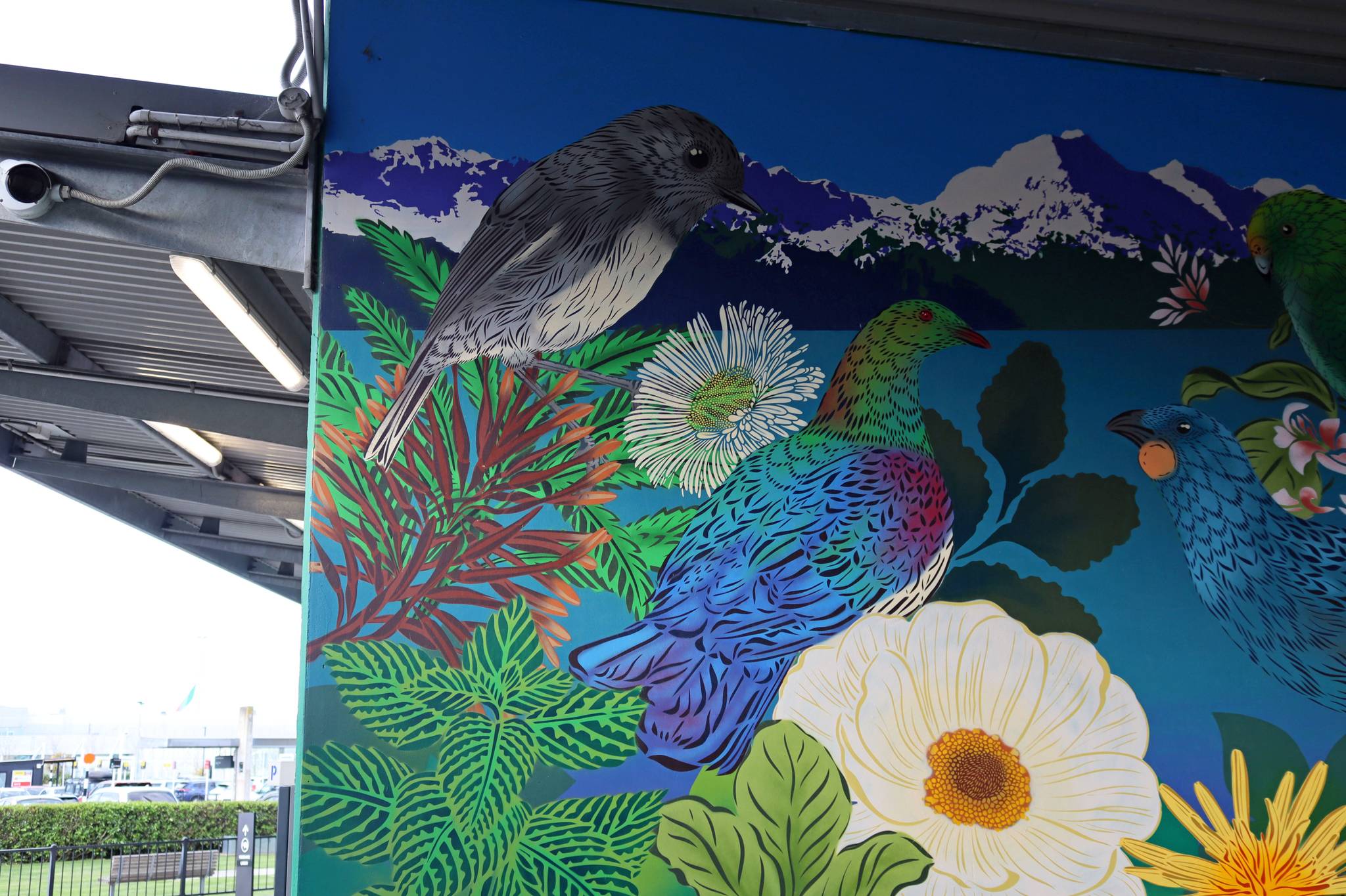 Flox&mdash;Orange-Fronted Parakeet Mural