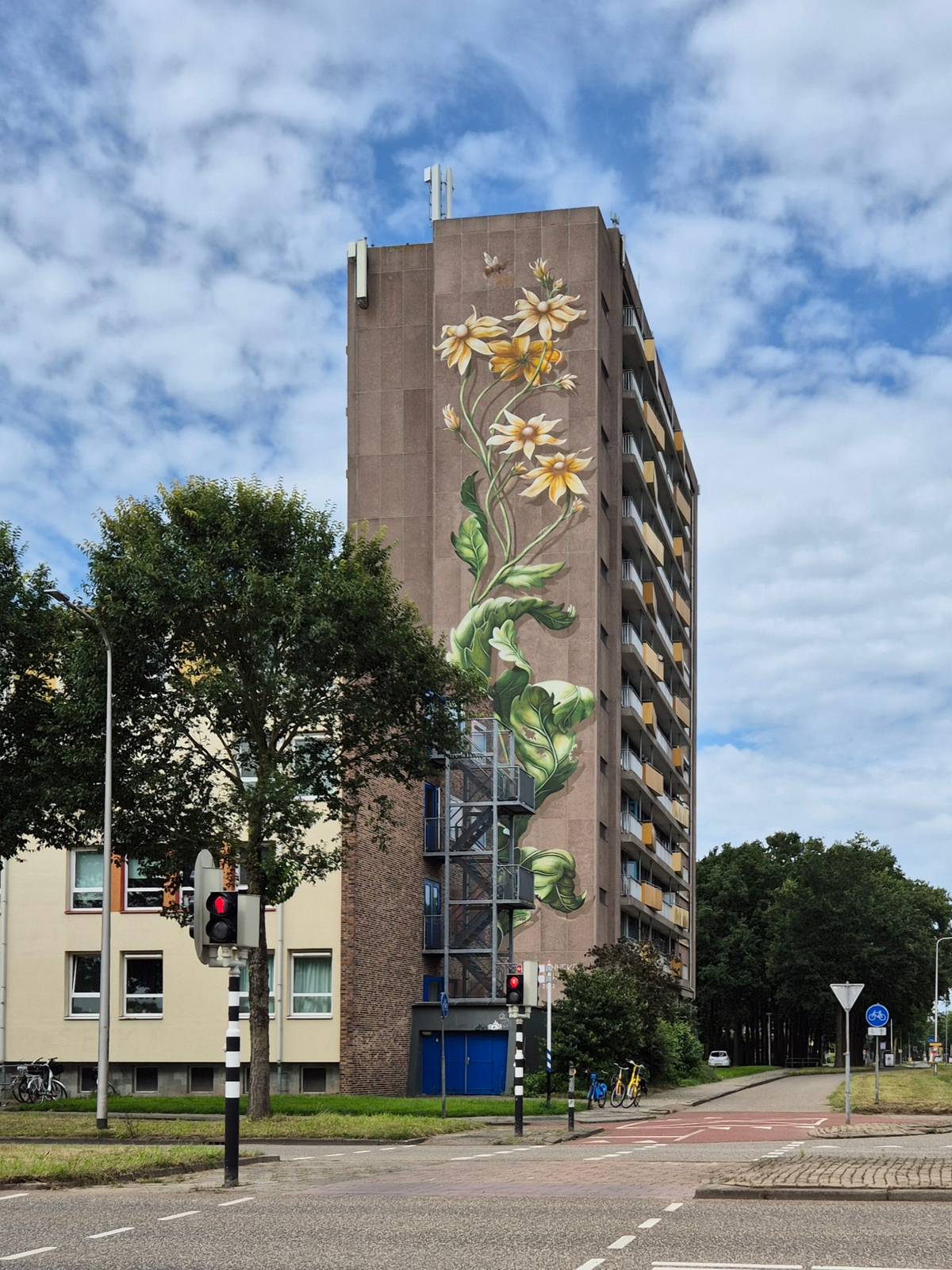 Lonneke van Zutphen—undefined