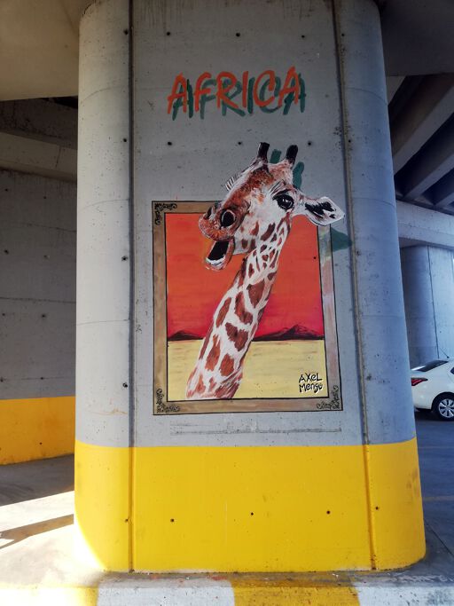 Giraffe of Africa