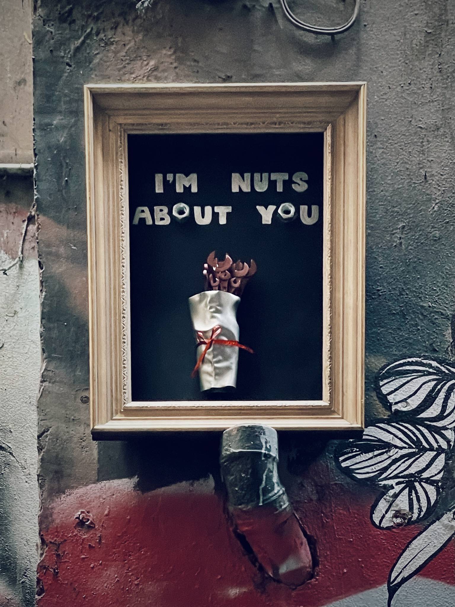 Robbo-t&mdash;Nuts About You