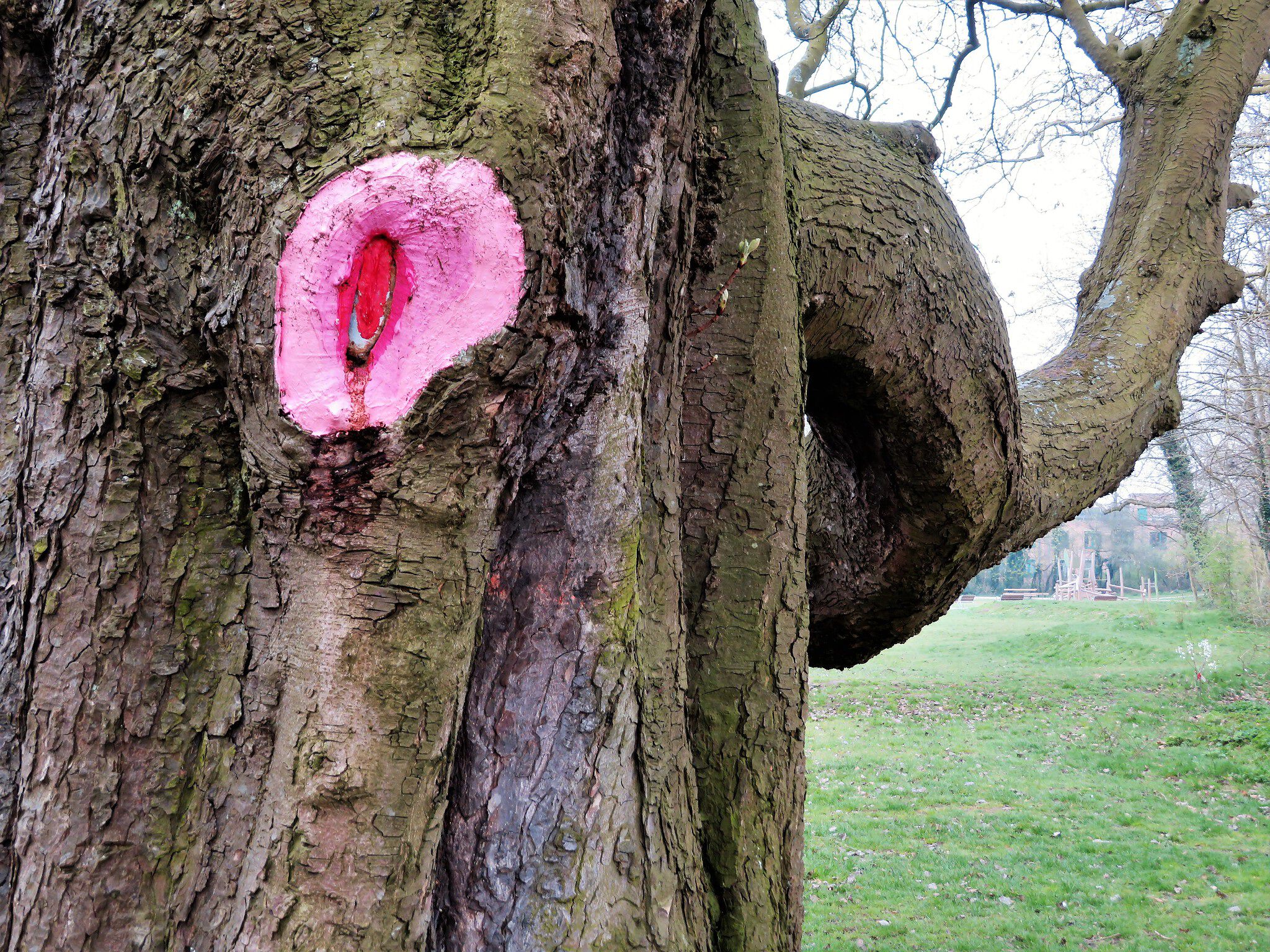 Vajinsky Art&mdash;Vagina trees