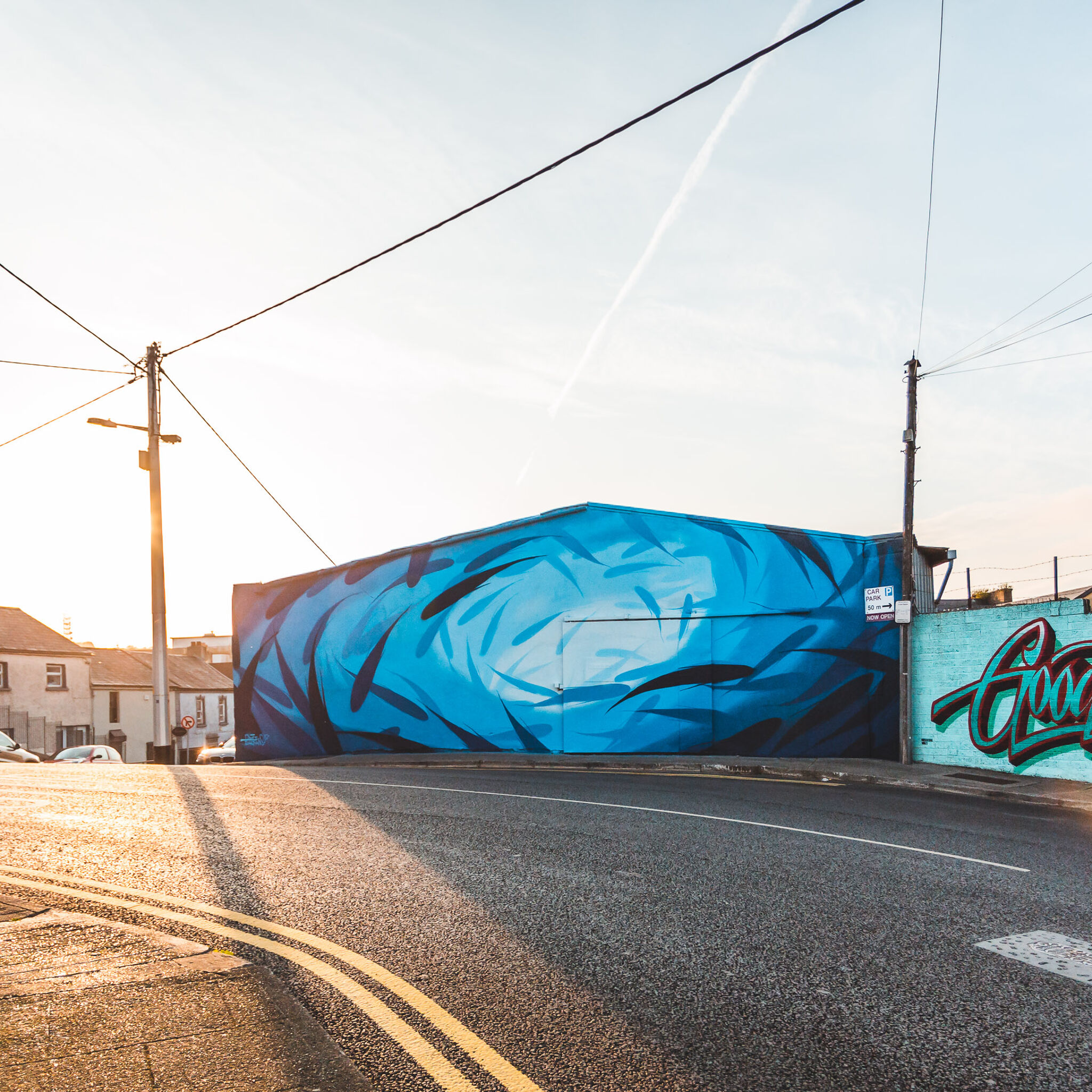 Michael Beerens&mdash;Waterford Walls 2019