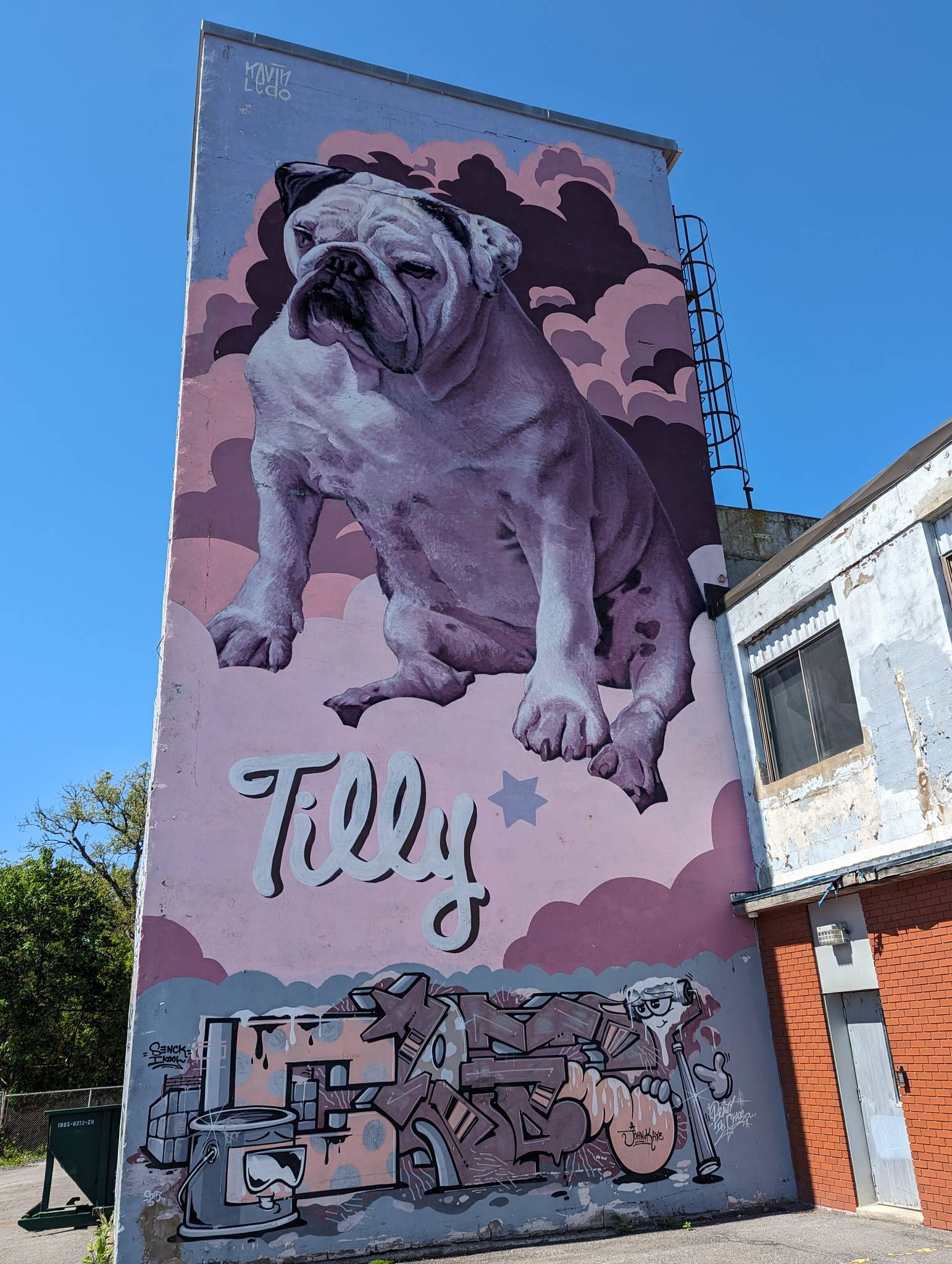 Kevin Ledo&mdash;Tilly Dog