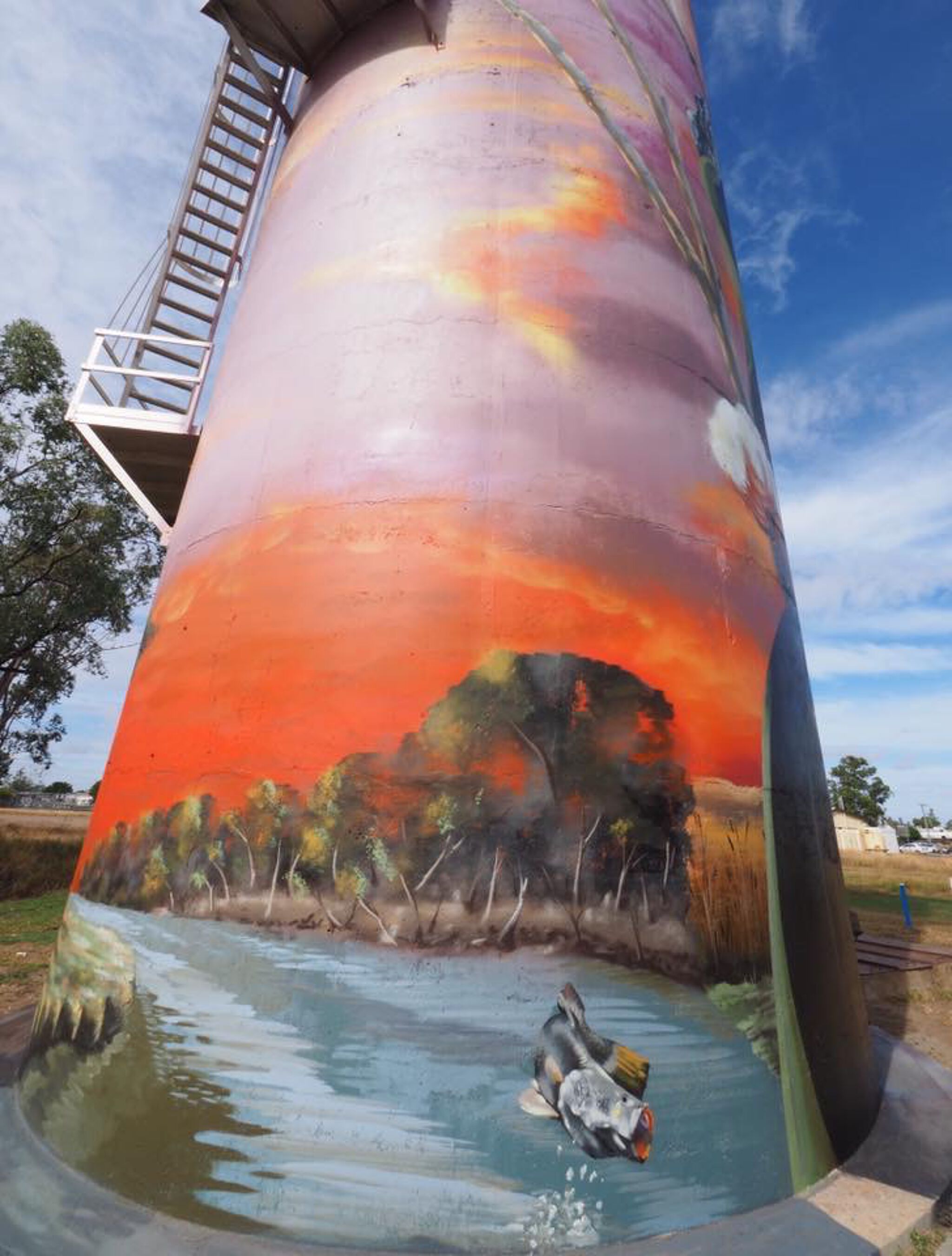 Australian Silo Art Trail, Sam Wilkinson, Leans&mdash;Moura Water Tower
