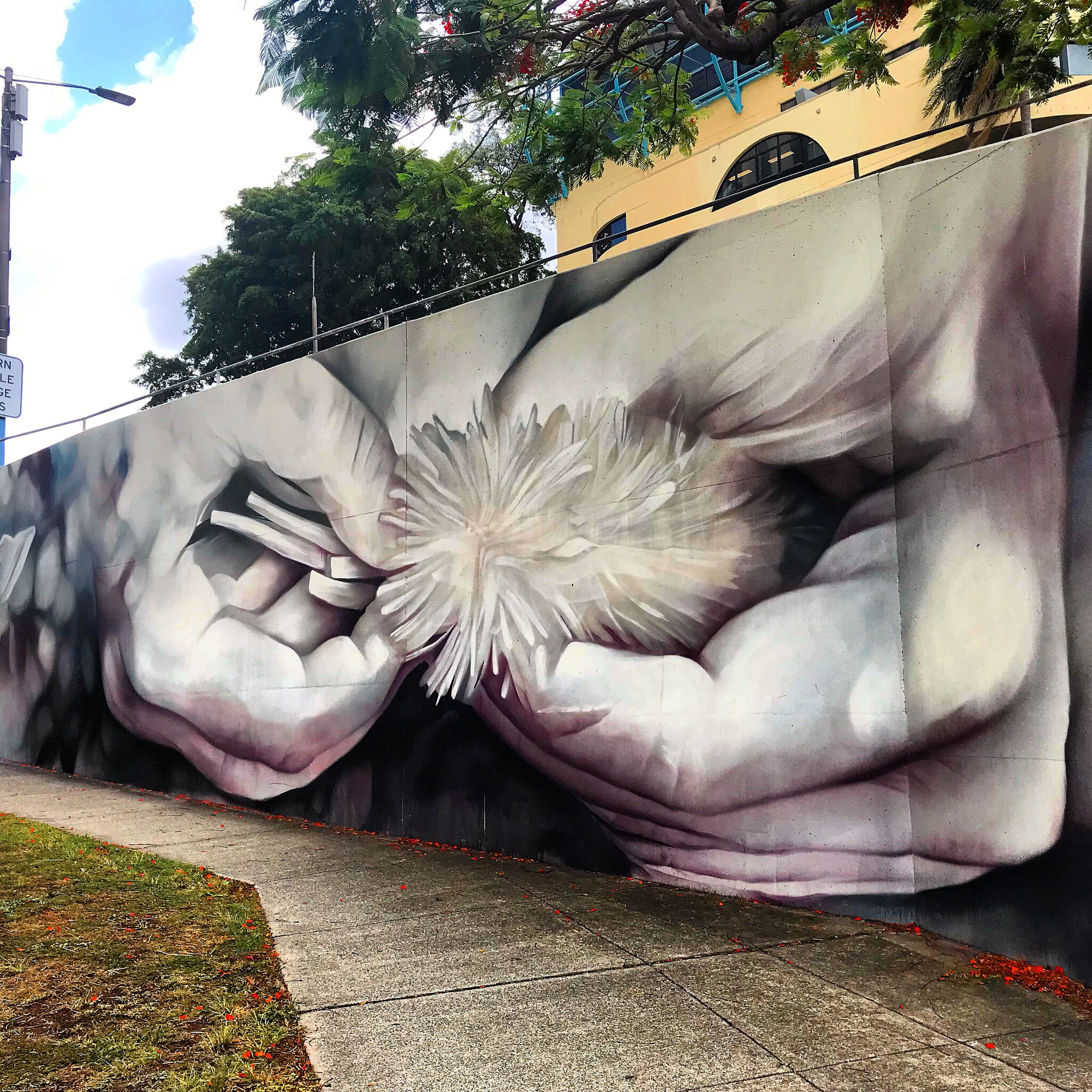 Guido van Helten&mdash;Untitled 2017