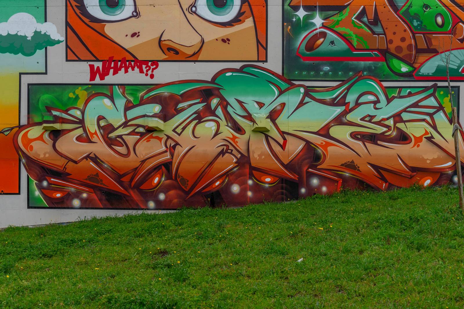 Thunders Crew—undefined