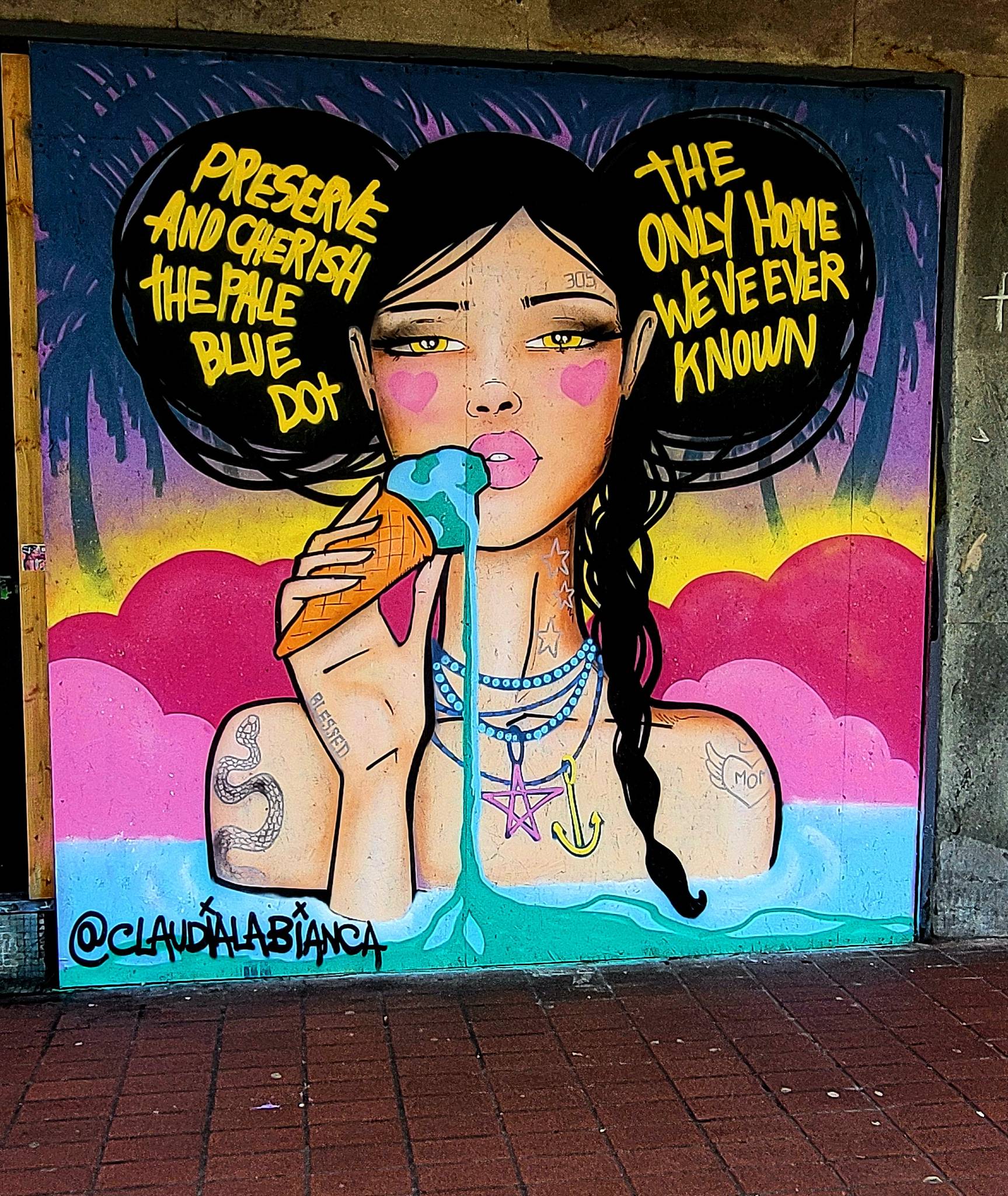 Roo Abrook, farkFK, My Dog Sighs, RoosArt, Mister Samo, Berk MLC, South Soak, Various Artists, Claudia La Bianca, Irony&mdash;Palmerston Road Precinct 