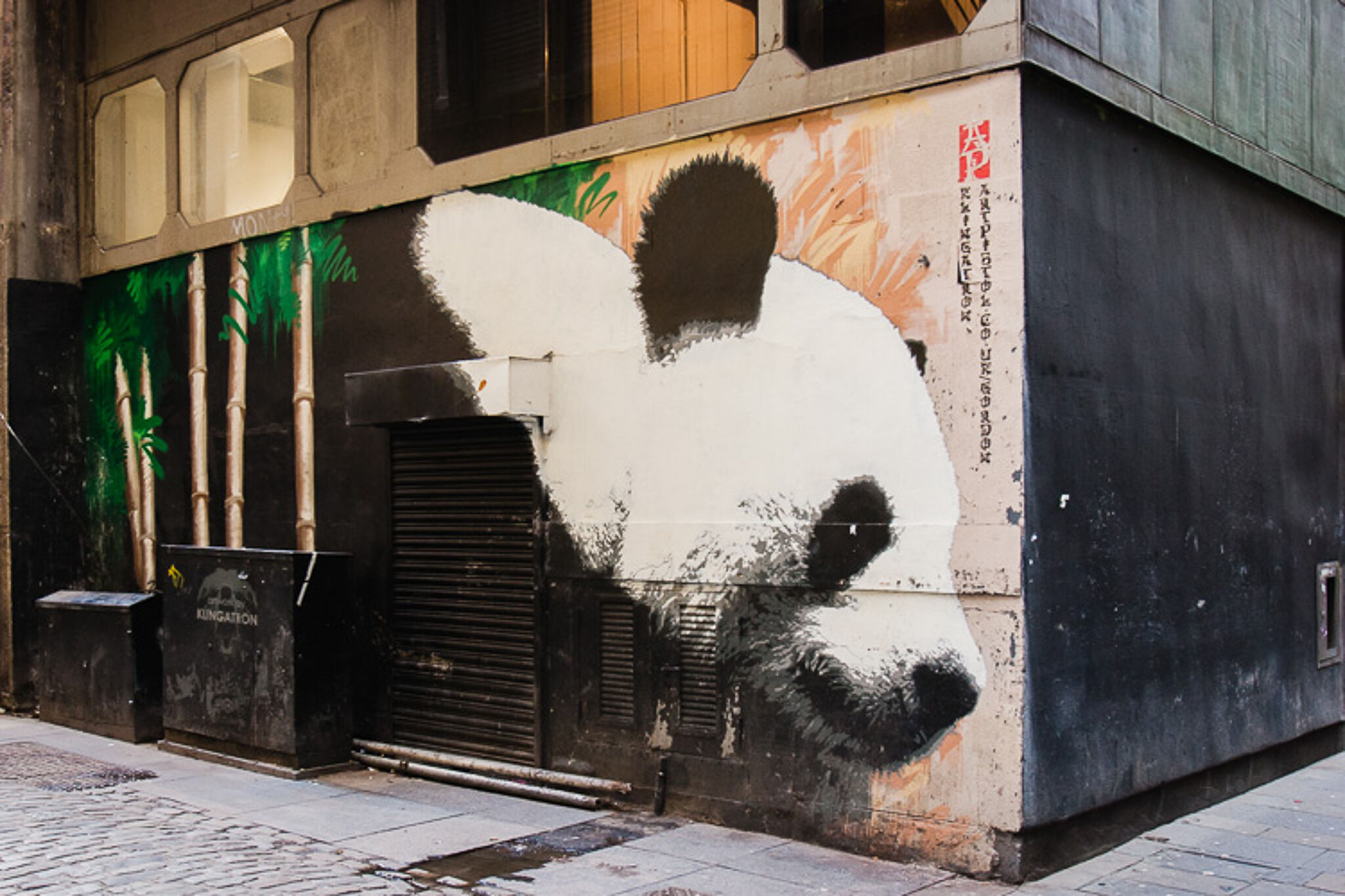 Klingatron&mdash;Glasgow's panda