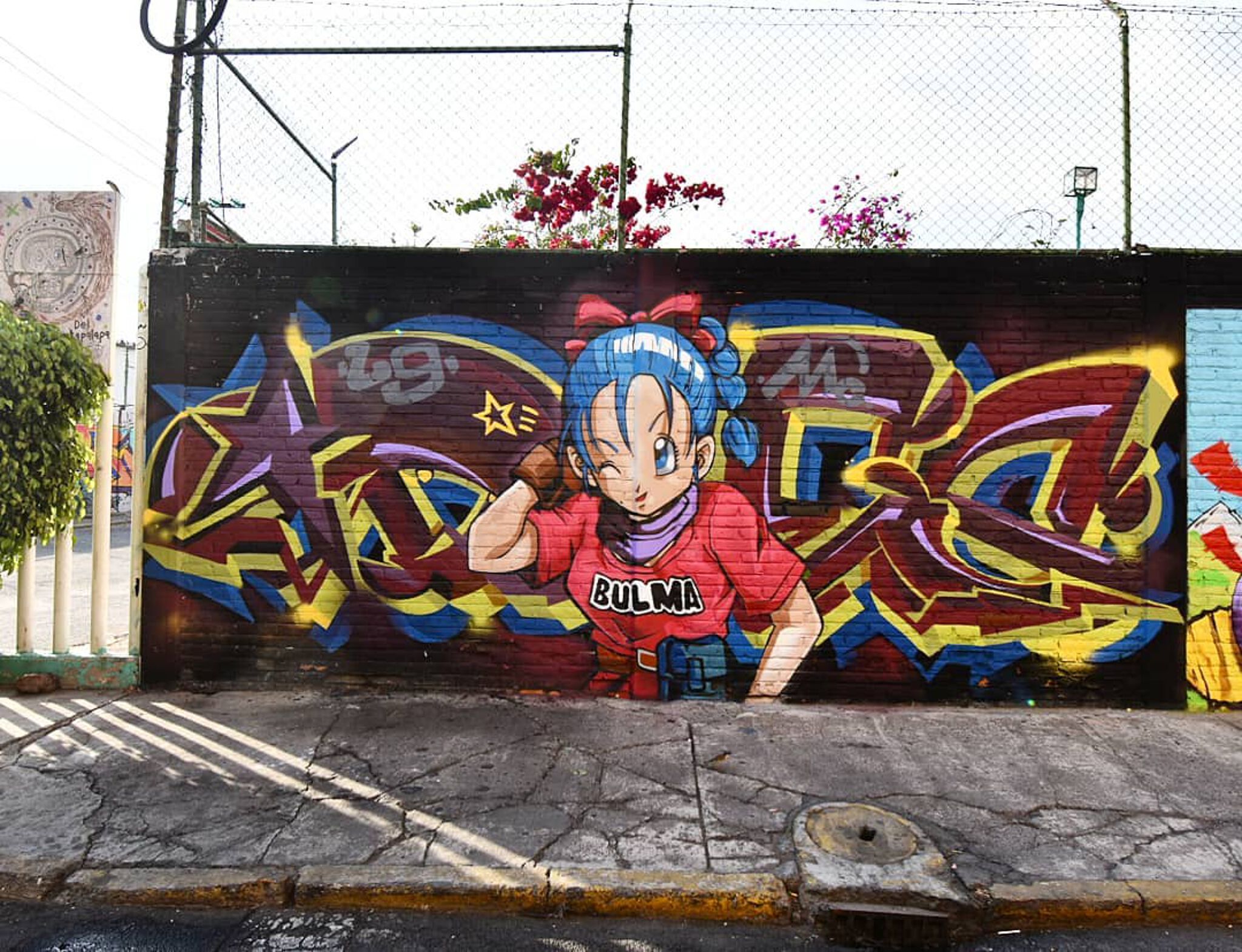 Odhes Dobleu&mdash;Bulma