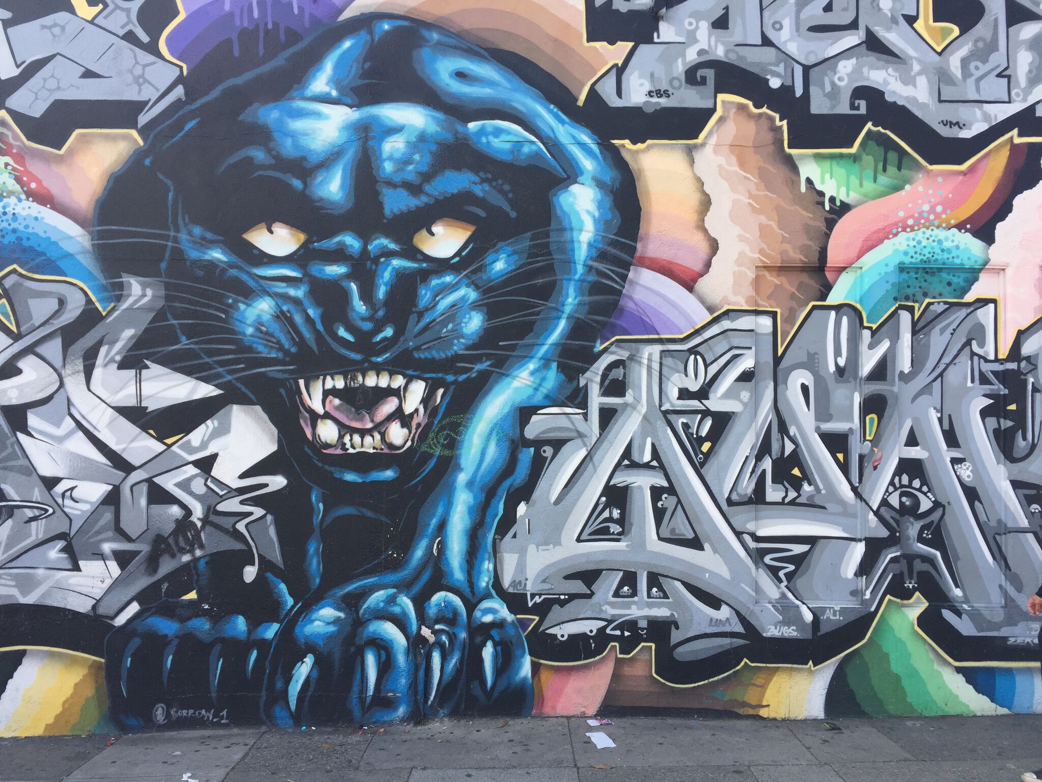 Unknown - San Francisco&mdash;Black panther