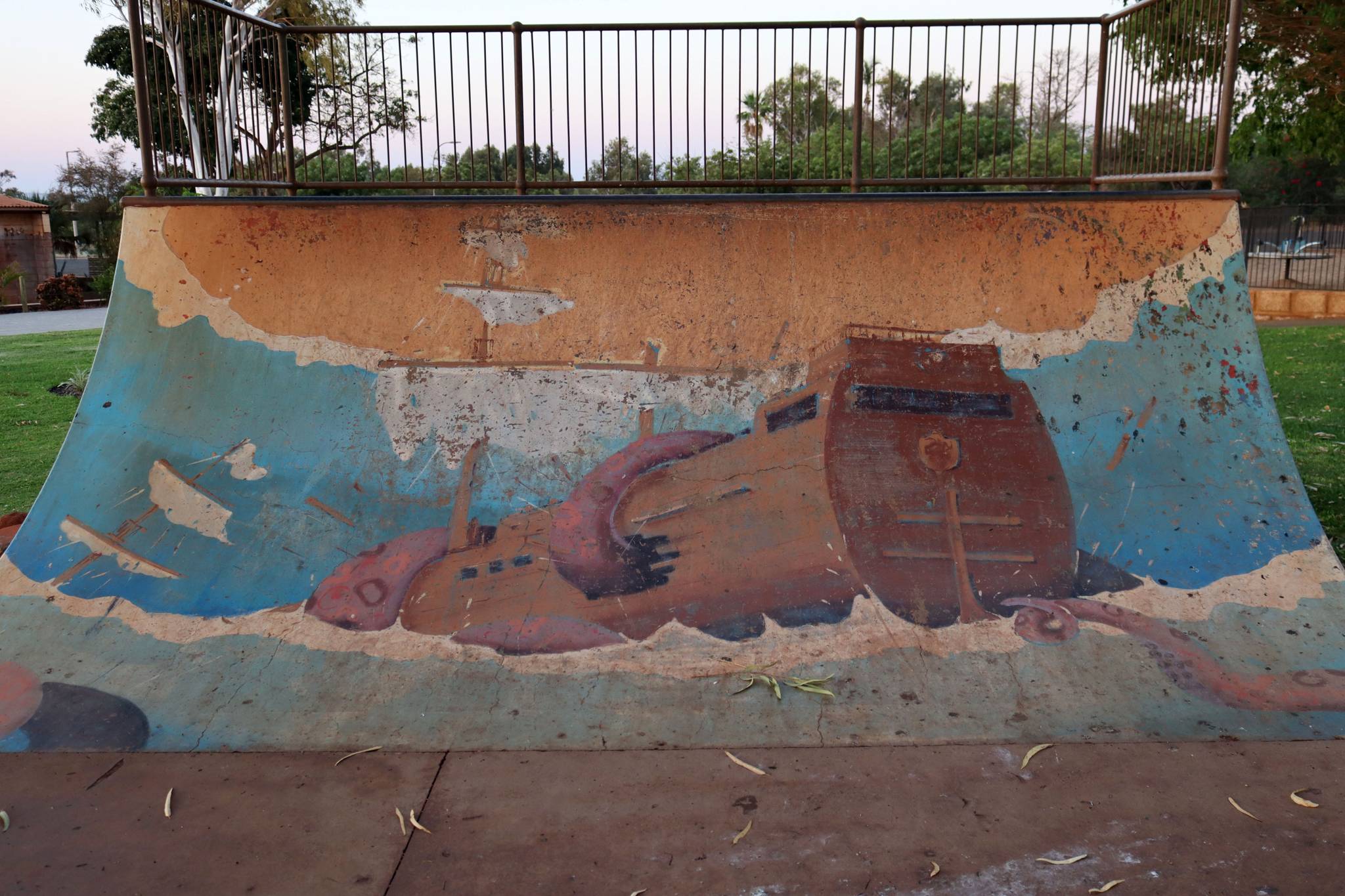 George Domahidy&mdash;Dampier Skate Park