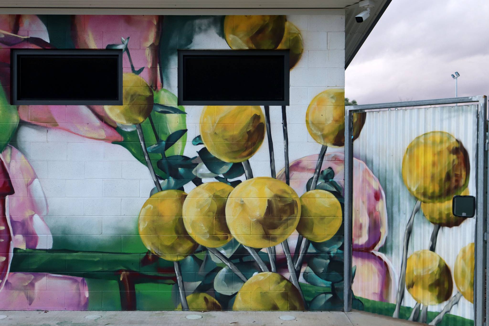 Ling&mdash;Jerilderie Swimming Pool Mural