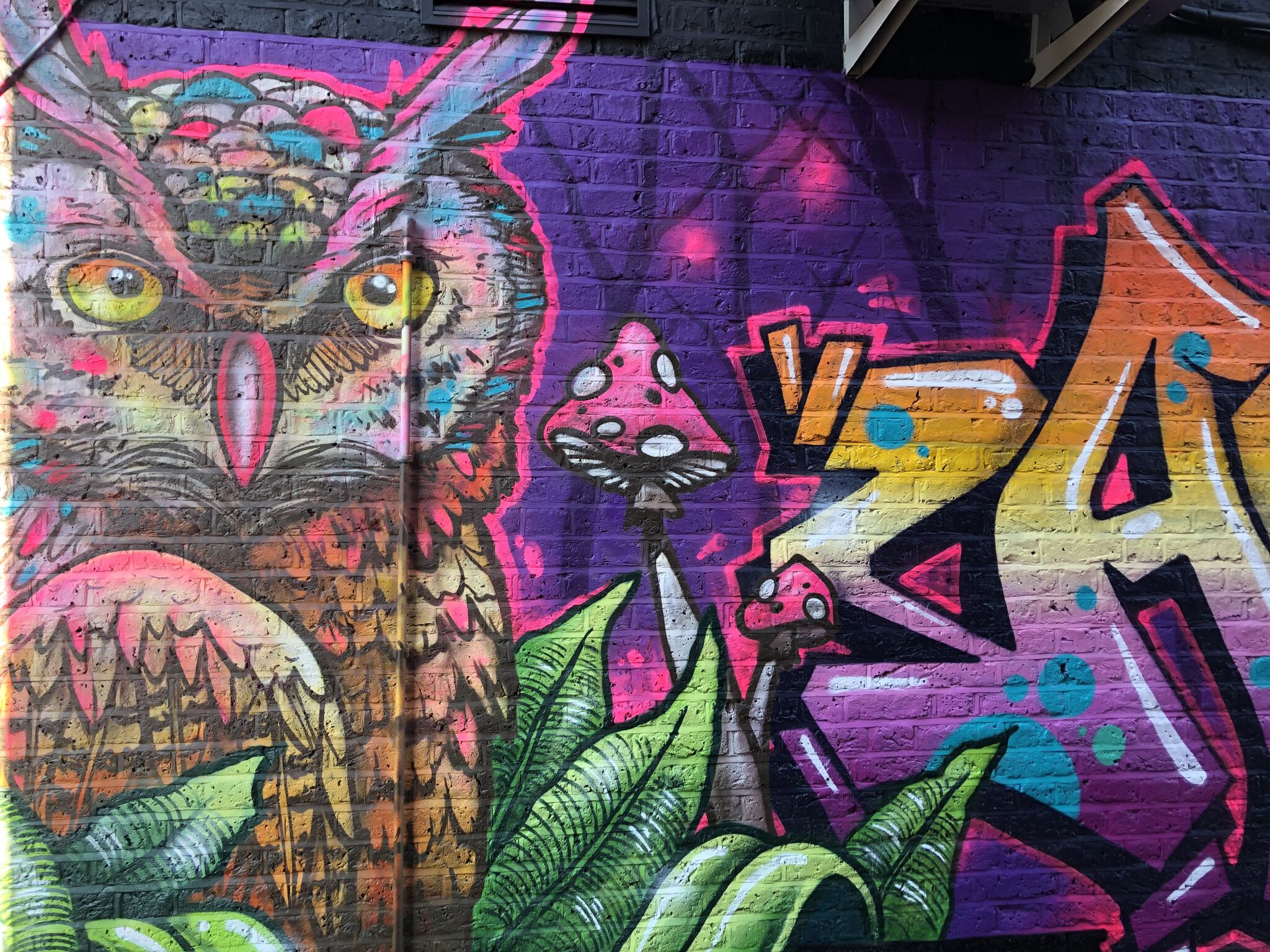 AeroArts&mdash;The Owl and Fox Wall