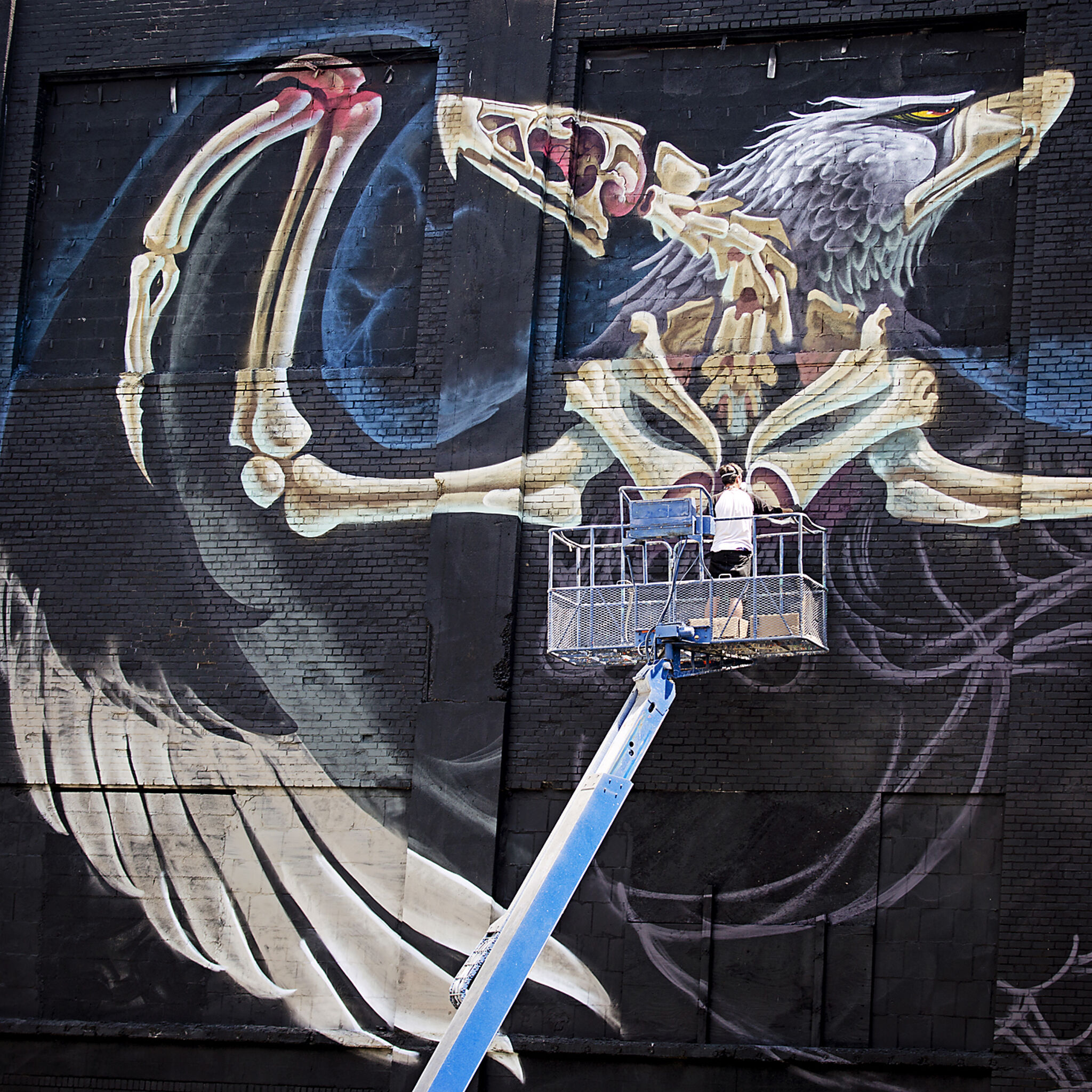 Nychos&mdash;Anatomy of Empire Eagle