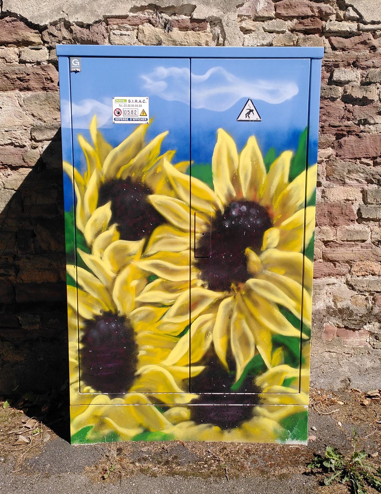 Mango Mangone—Sunflowers