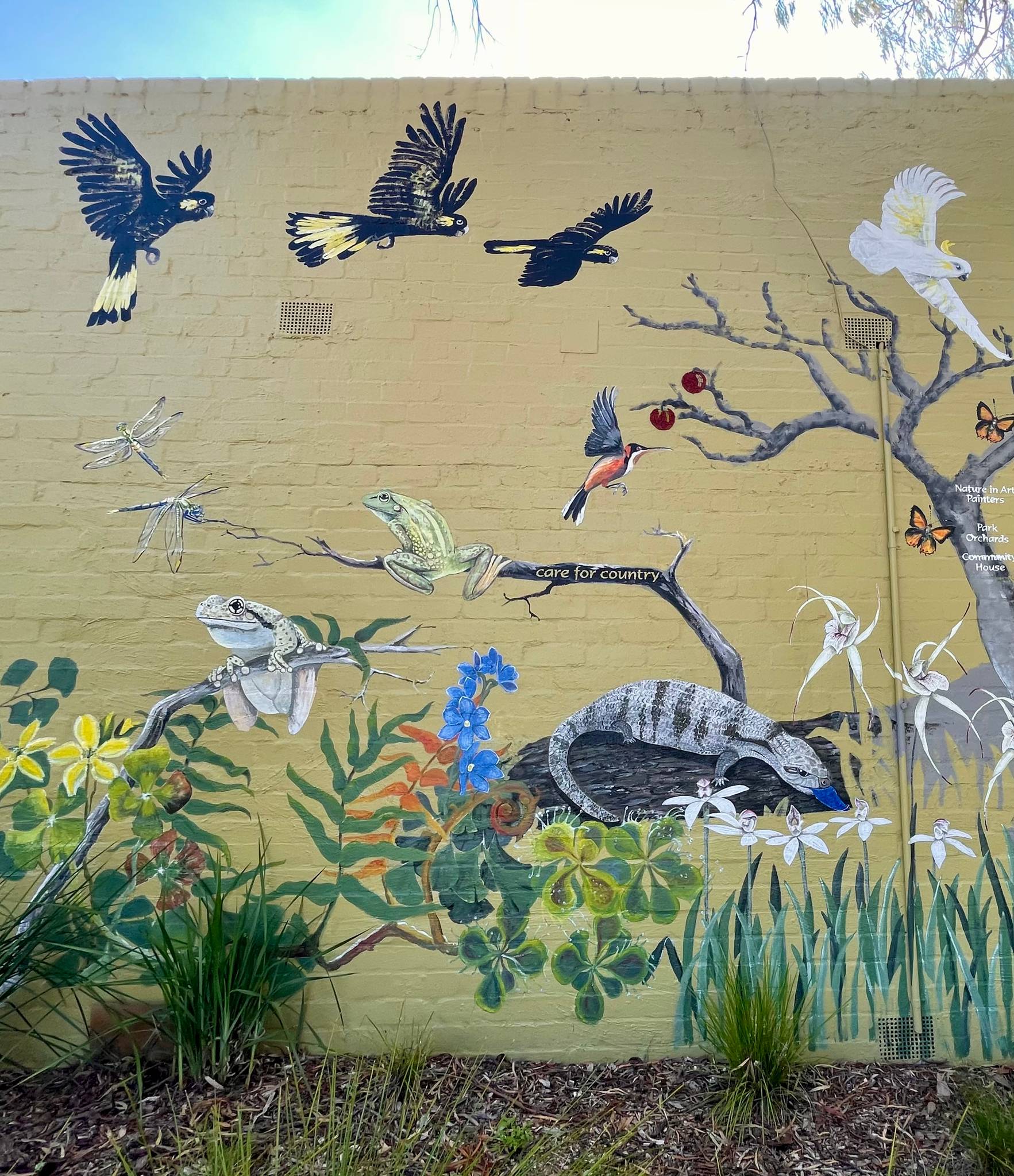 Pauline Brooke&mdash;Park Orchards Recovery Wall