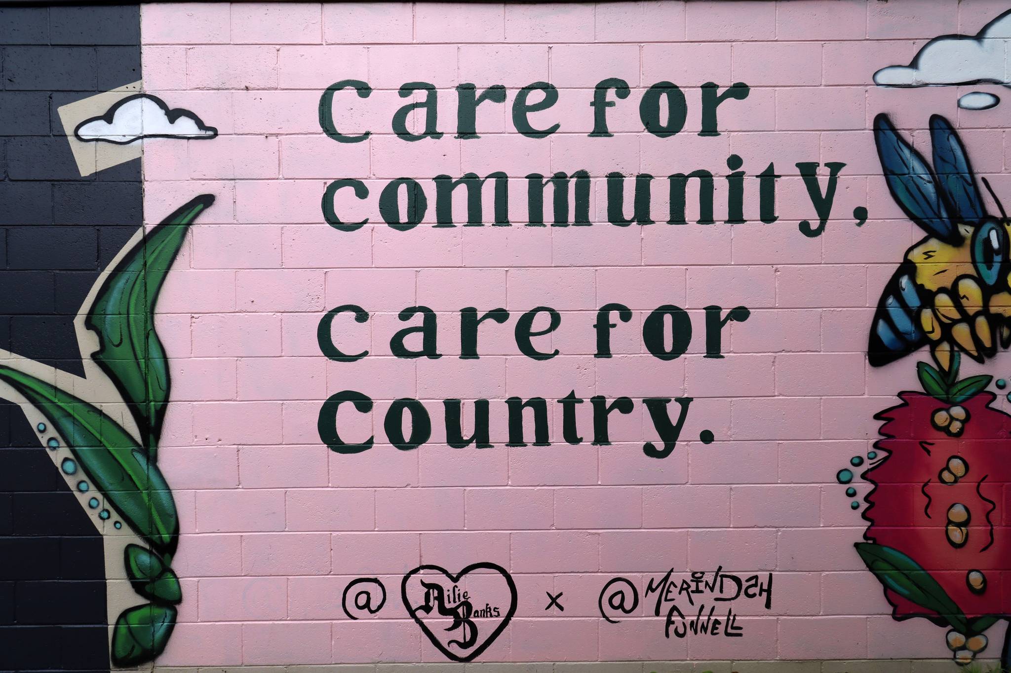 Ailie Banks, Merindah Funnell&mdash;Care for Community, Care for Country