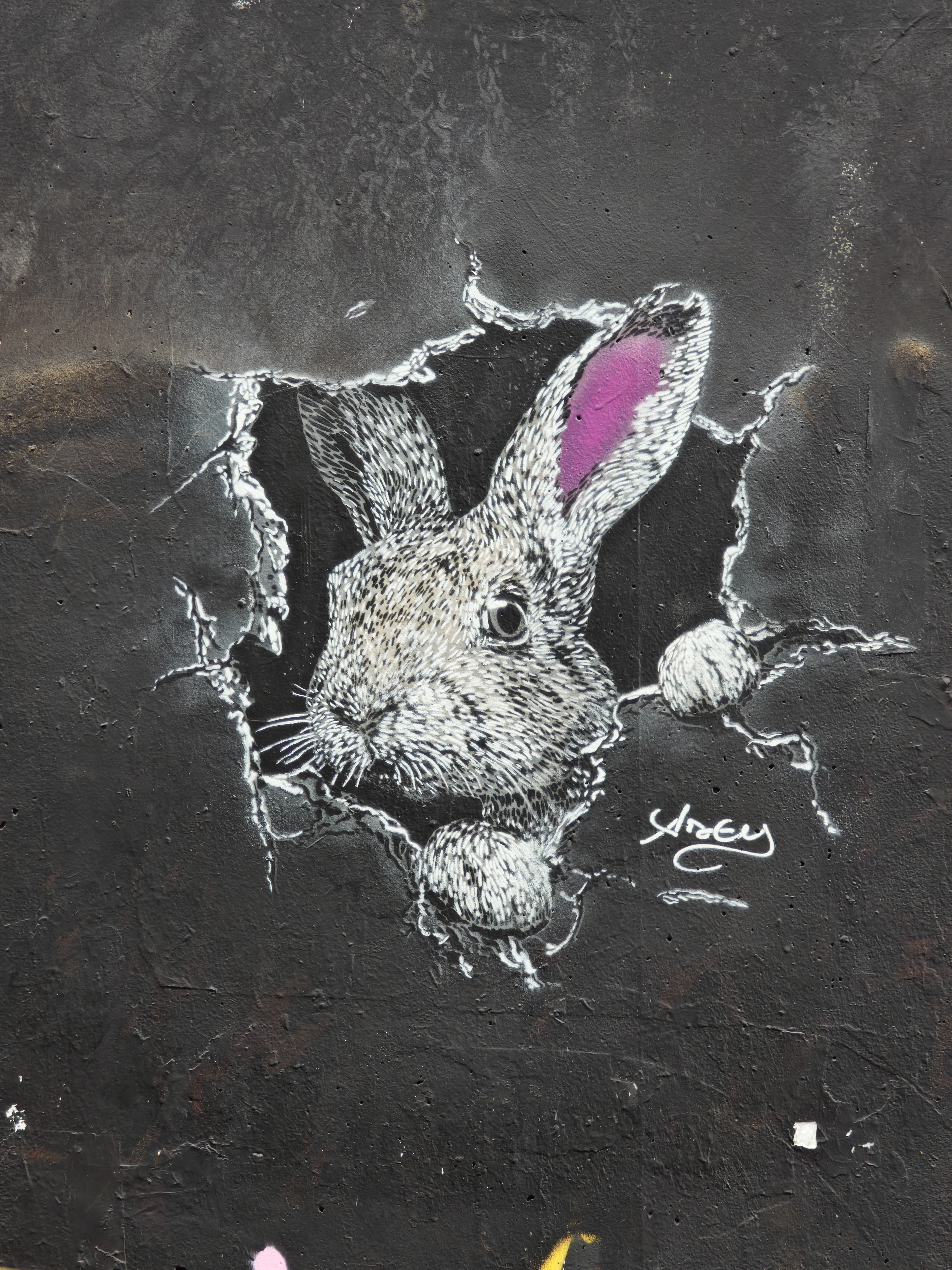 Follow The Rabbit by Adey - Street Art Cities