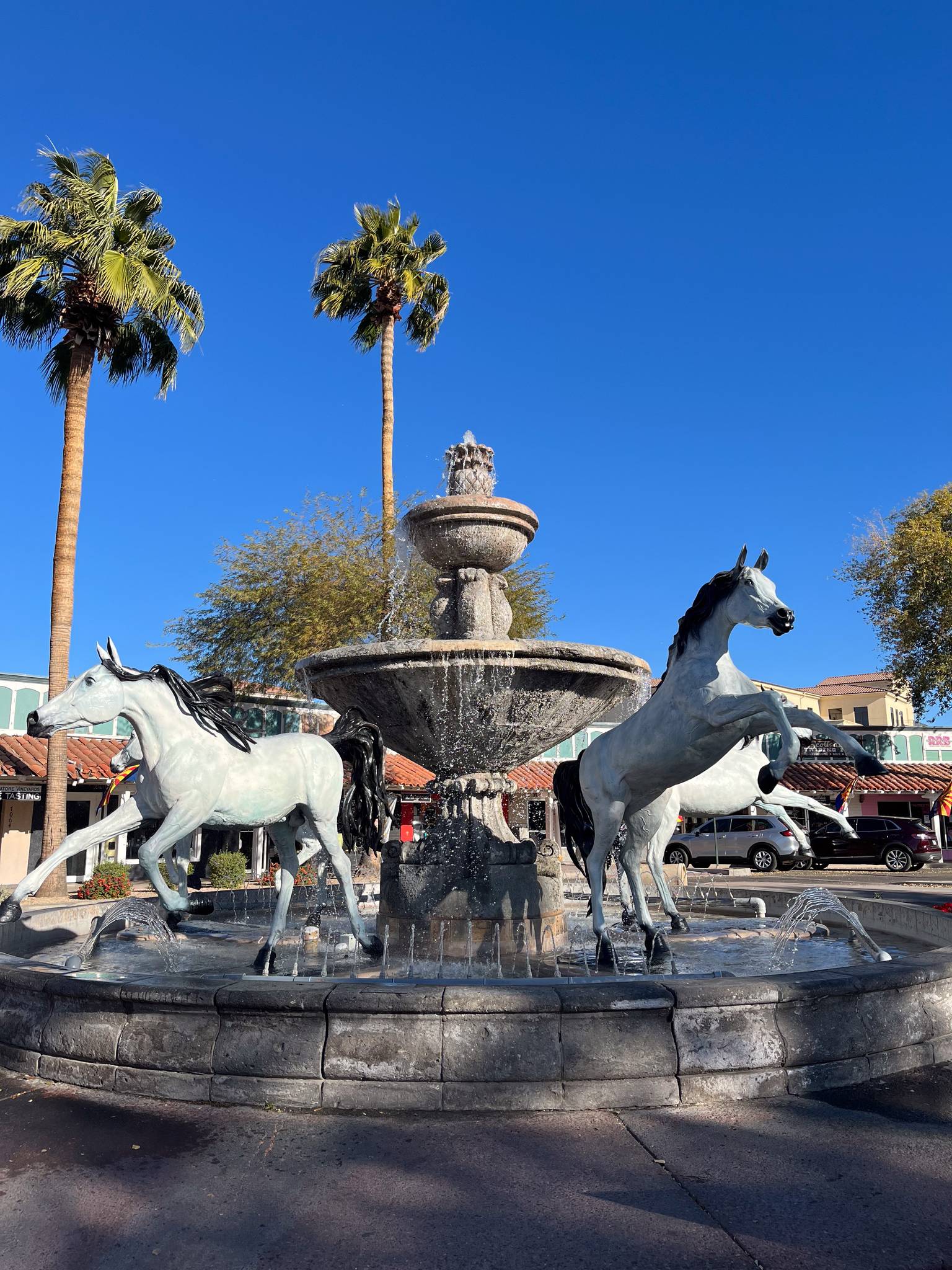 Bob Parks&mdash;Bronze Horse Fountain