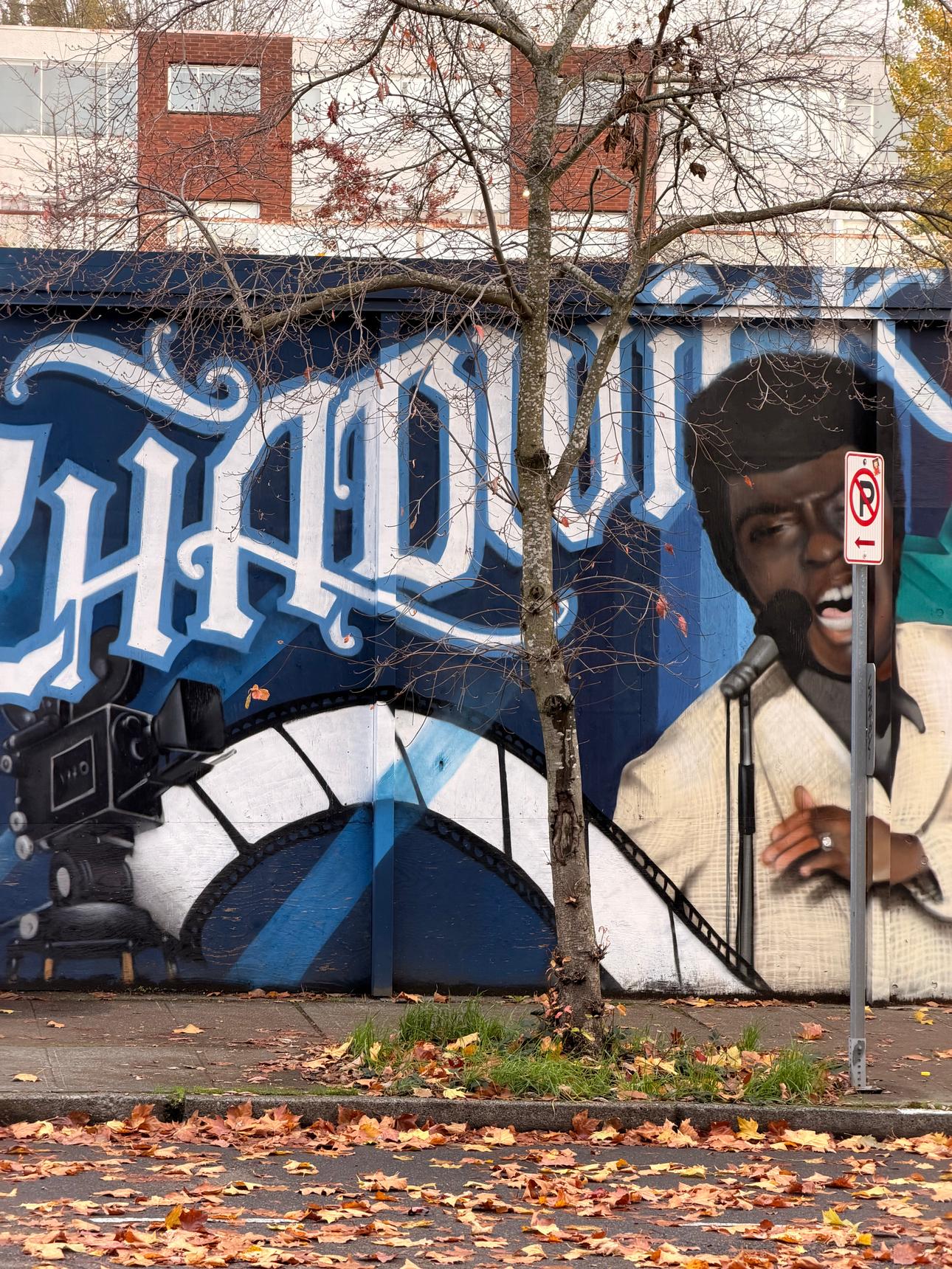 Desmond Hansen—Chadwick Boseman