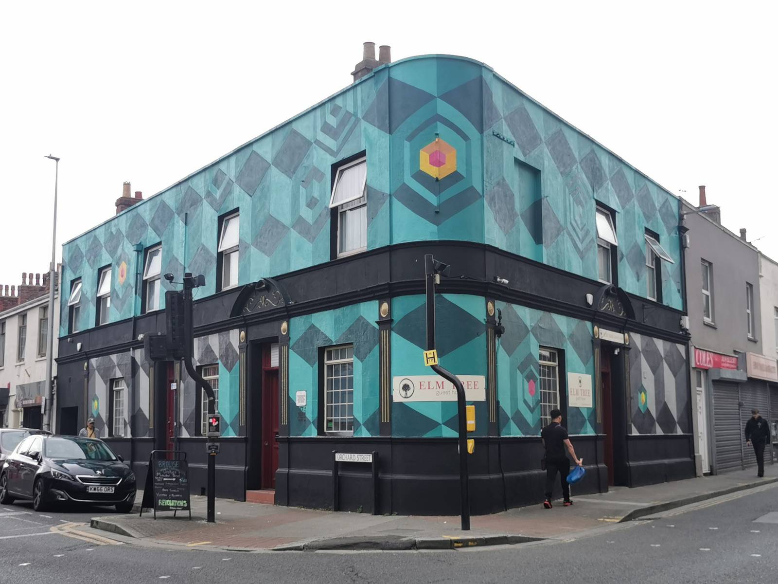 Snub23—Elm Tree Mural