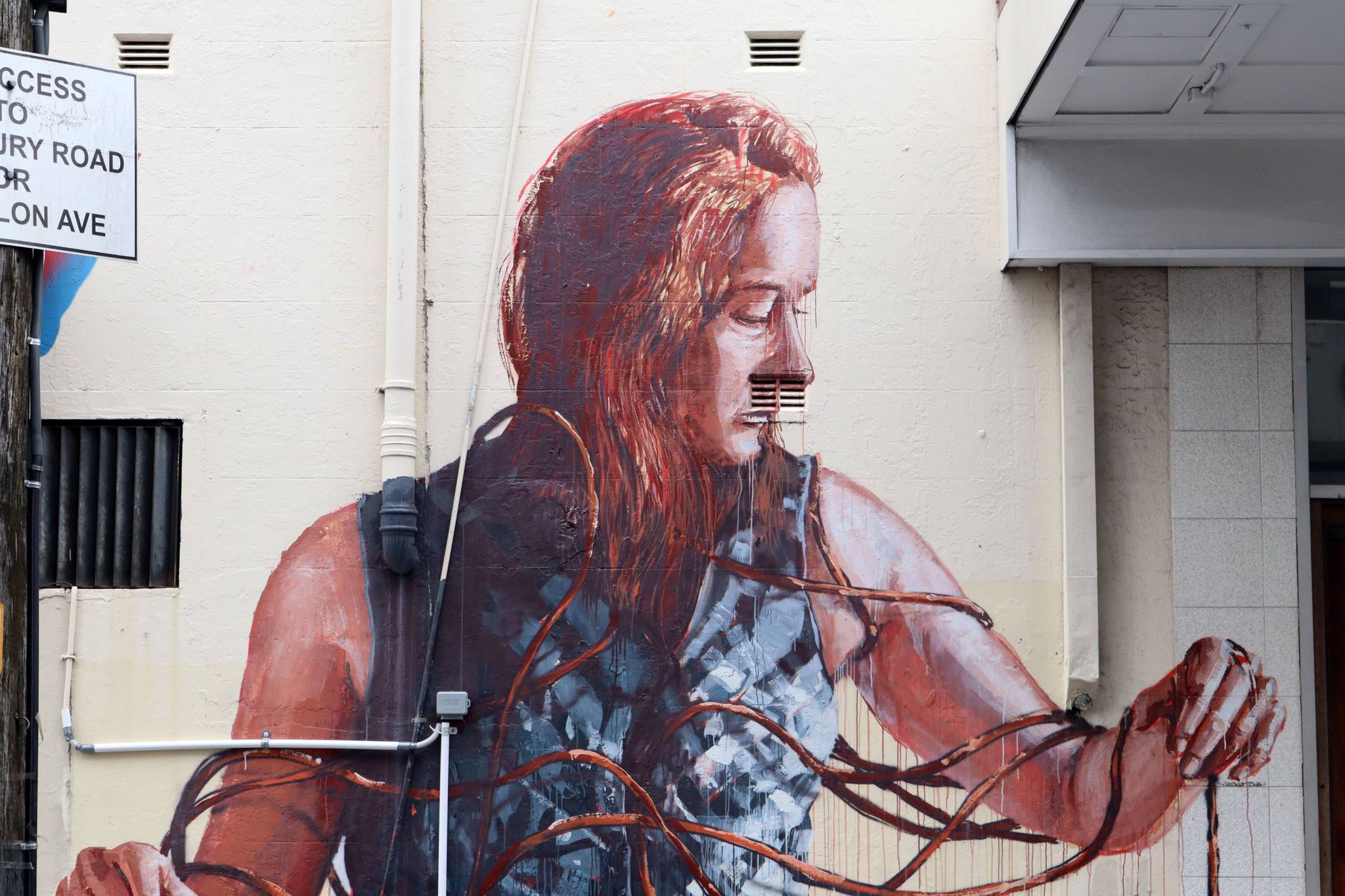 Fintan Magee, Funskull&mdash;Woman With Telephone