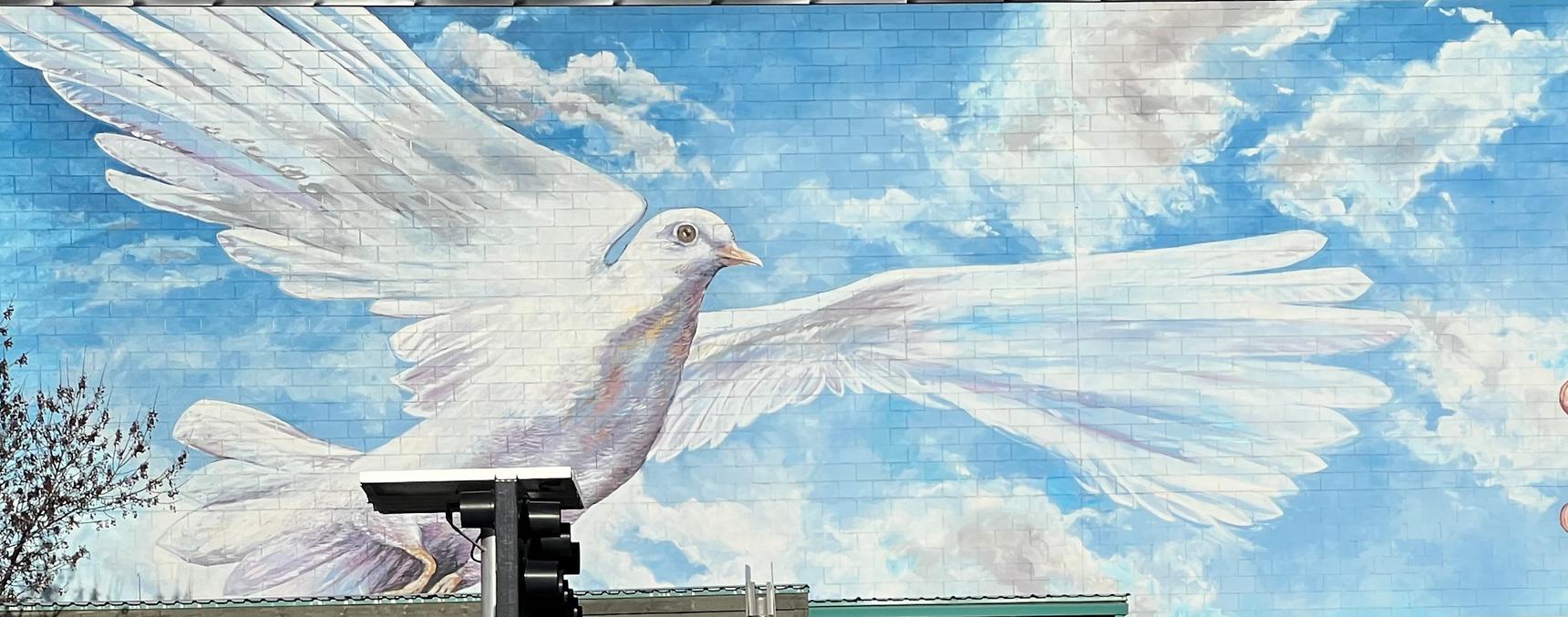 Doug Driediger —Give Wings To A Dream