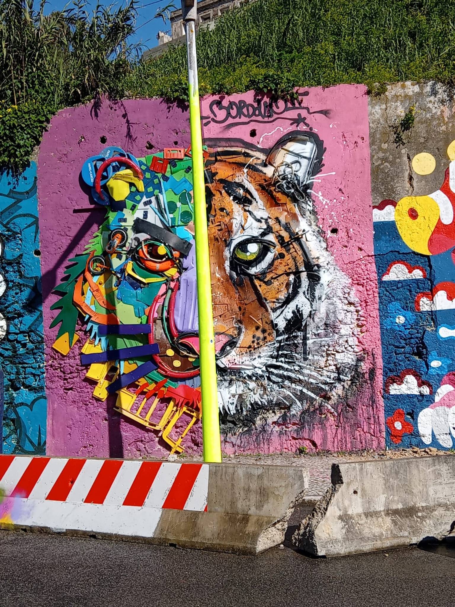 Bordalo ll&mdash;Half Tiger