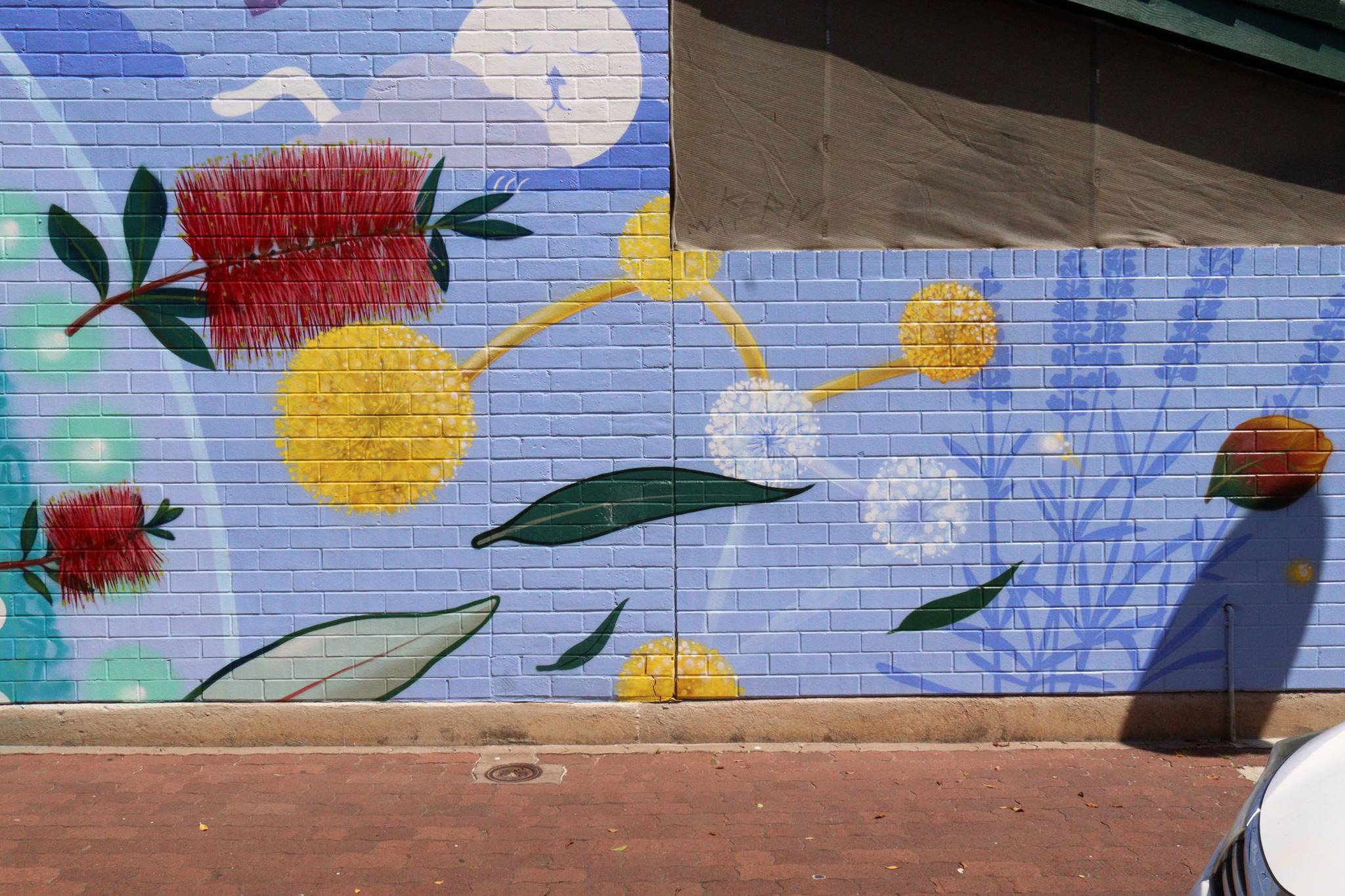 Vans The Omega, Shane Cook&mdash;Grey Ward Children's Centre Mural