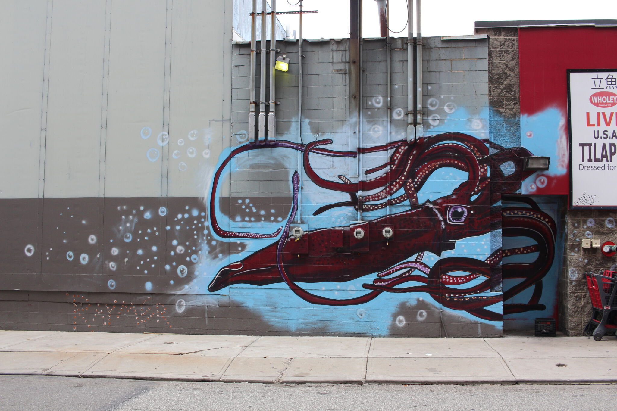 Jeremy Raymer&mdash;Wholey's Squid Mural