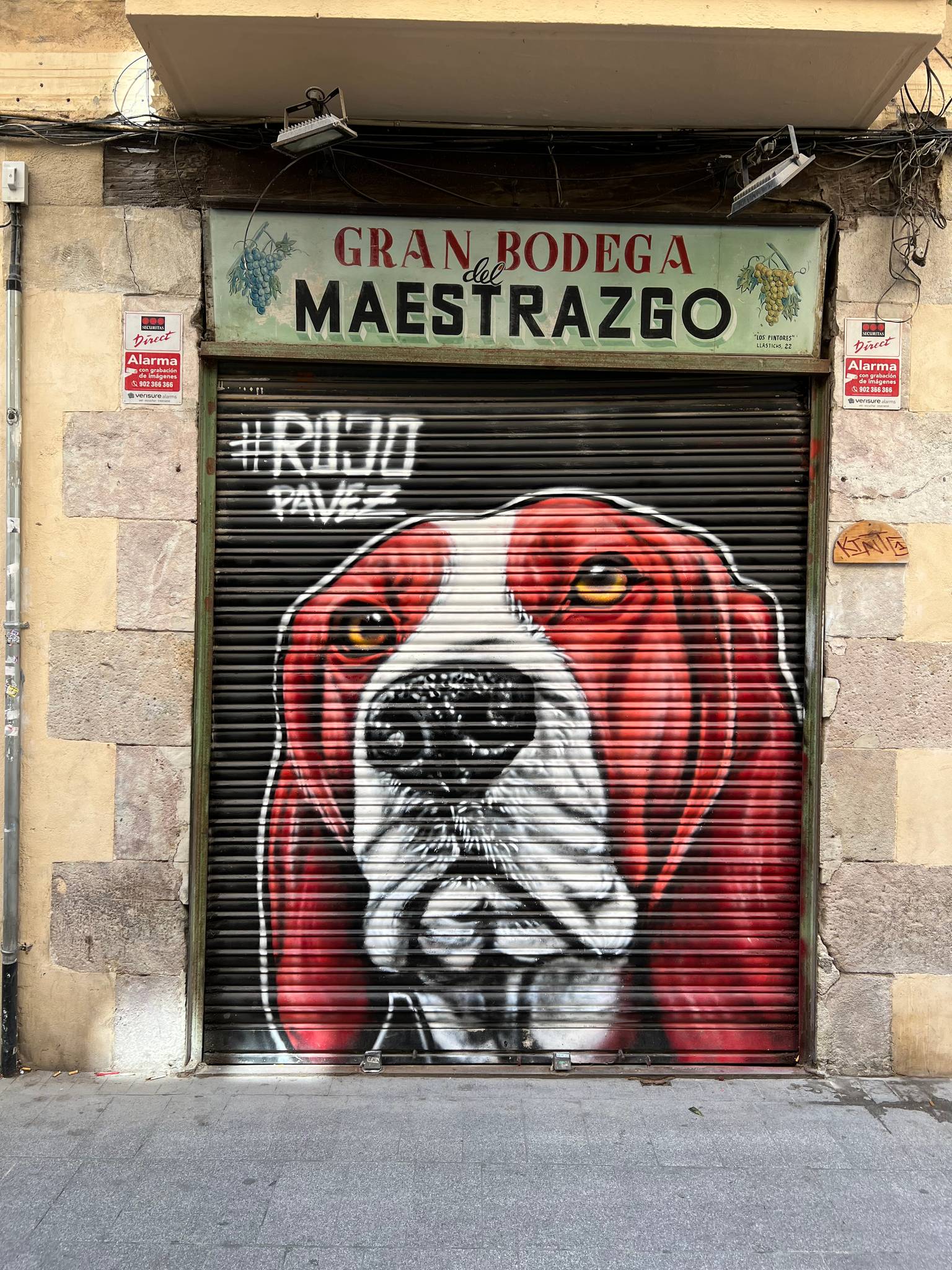 Rojo Pavez&mdash;Perro rojo 9