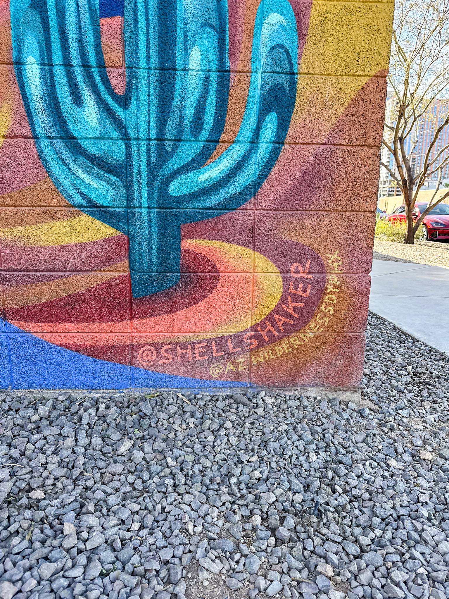 Shellshaker&mdash;Arizona Wilderness