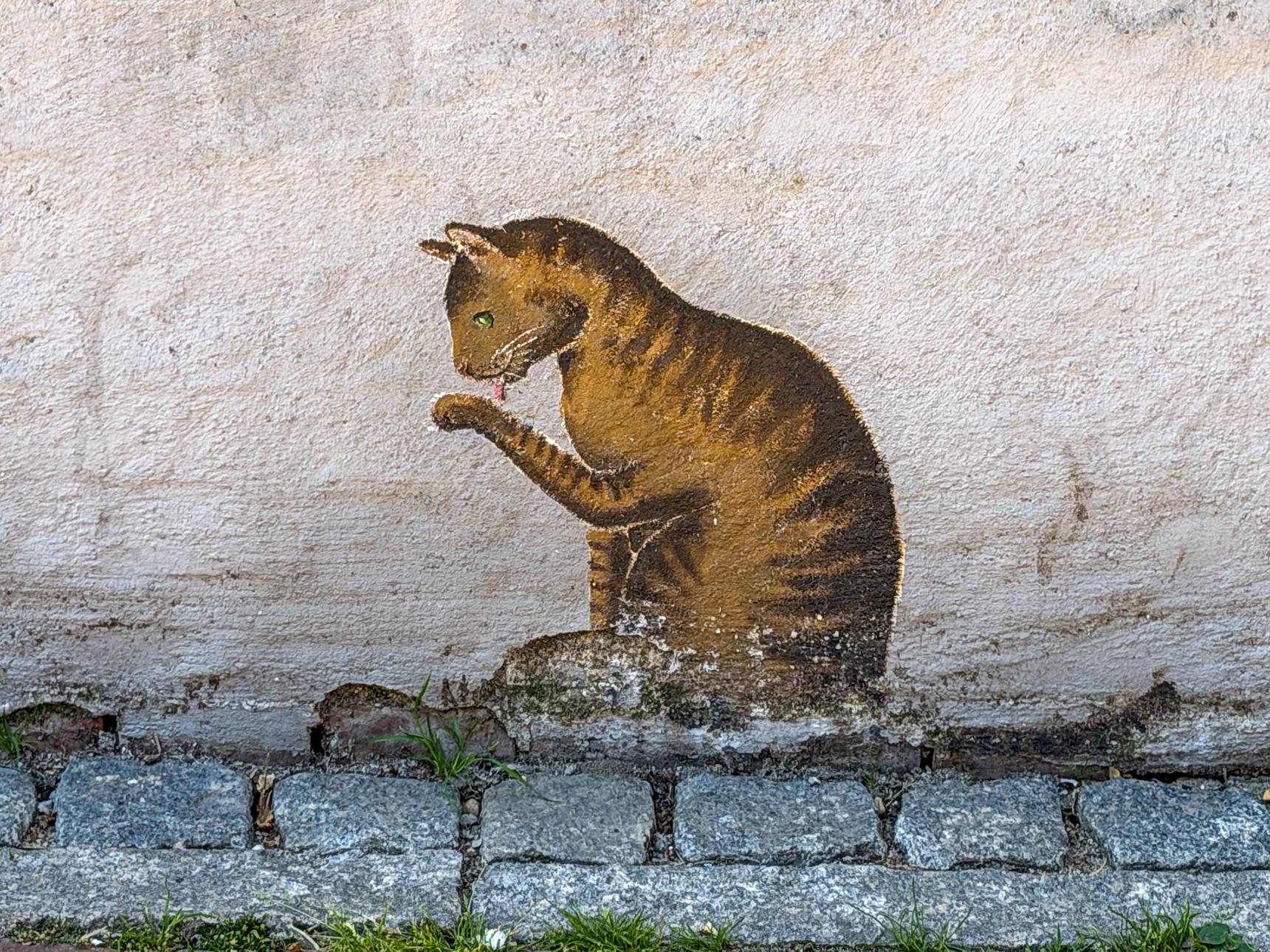 N.M.—Getigerte Wächterin des Rosenhauses