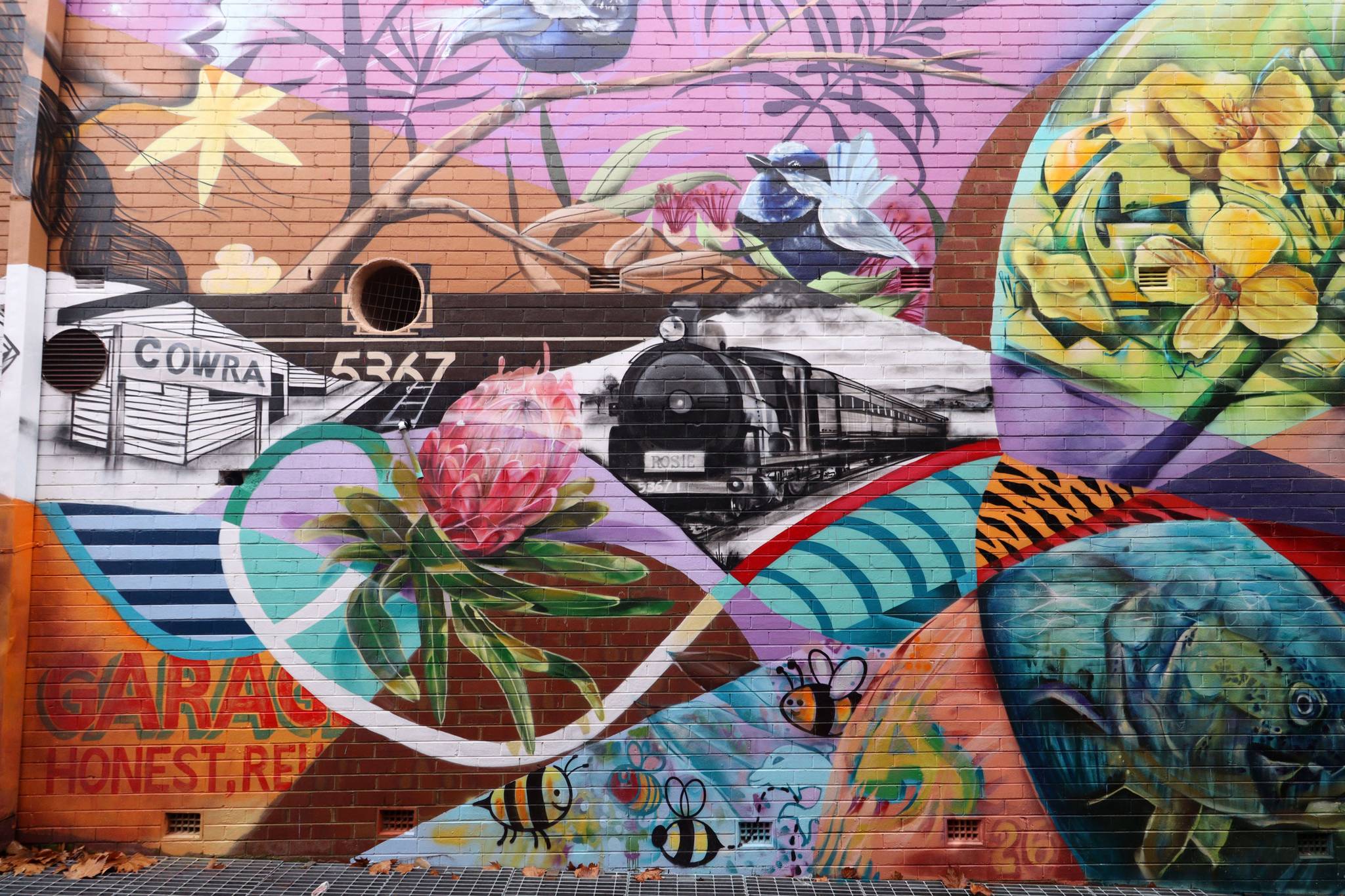 The Brightsiders, The Zookeeper, Drapl&mdash;Cowra Laneway Mural