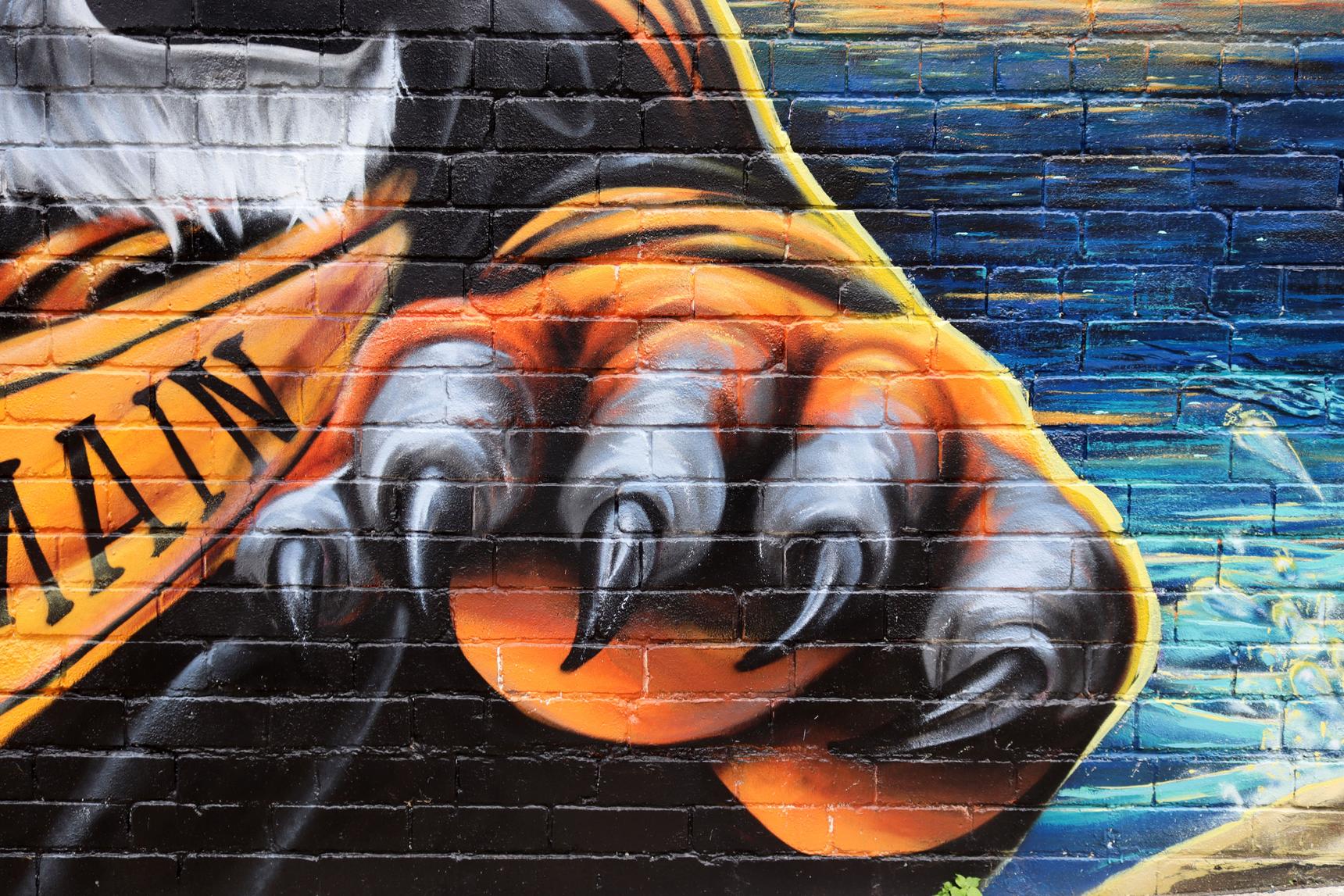 Smackas—Tiger Town