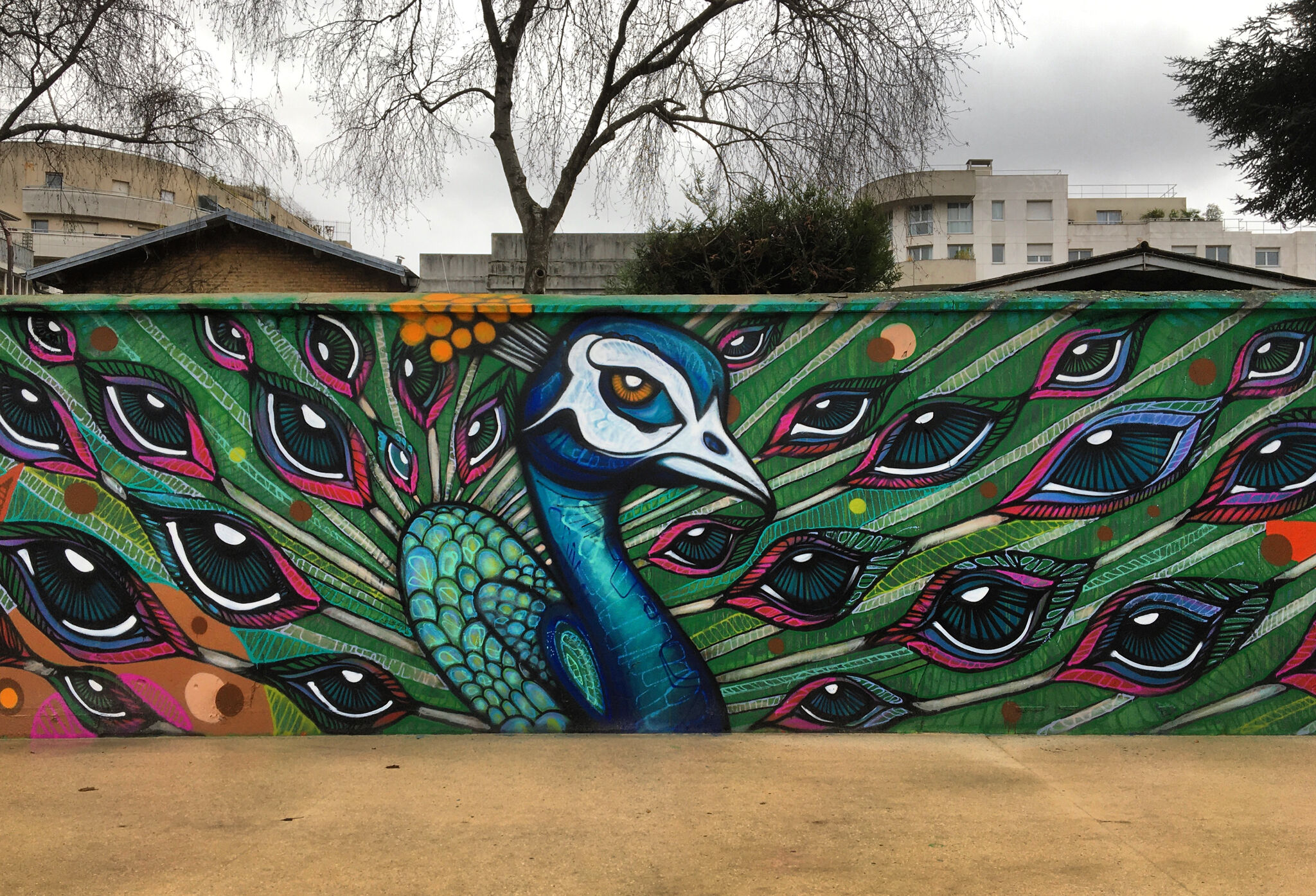 DaCruz&mdash;Urban peacock